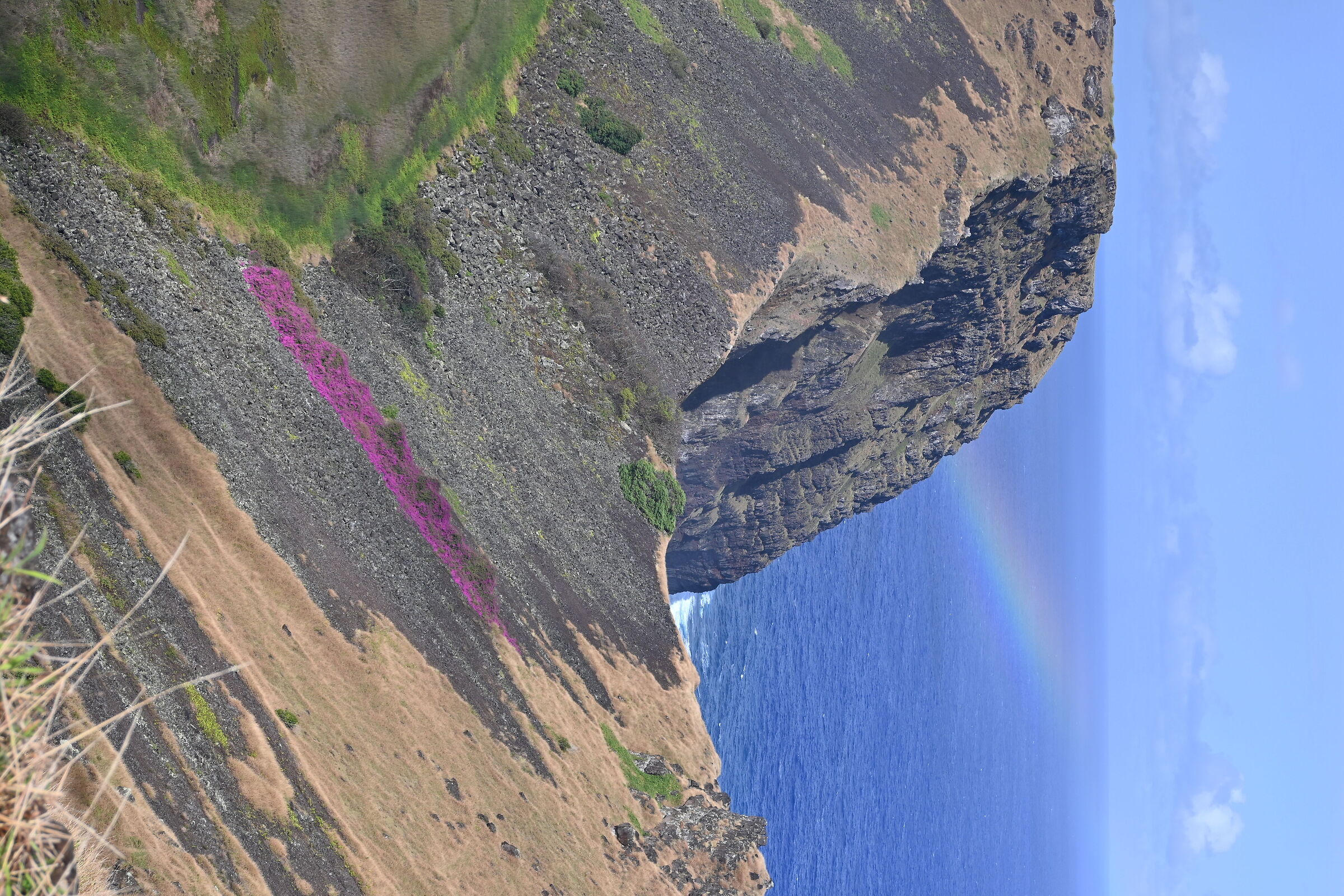 Orongo