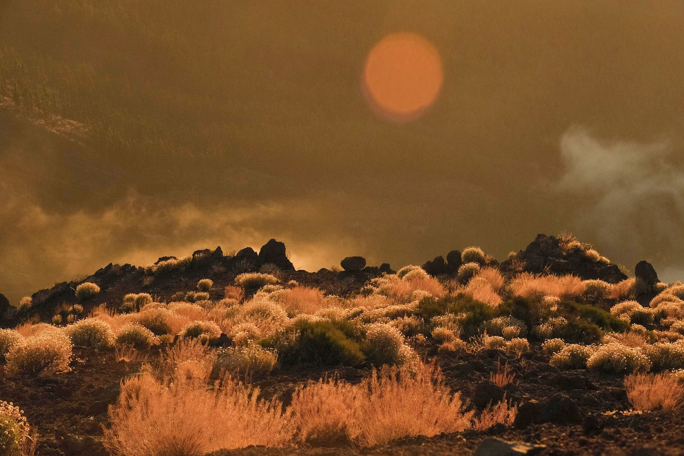 Colors of the sunset - Teide