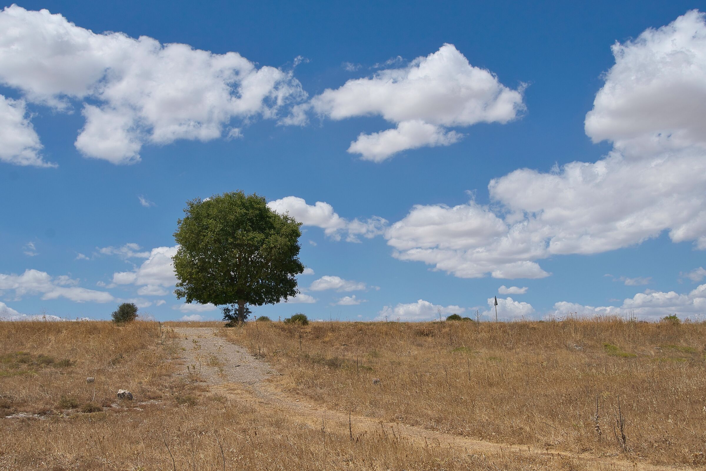 Tranquility of Salento
