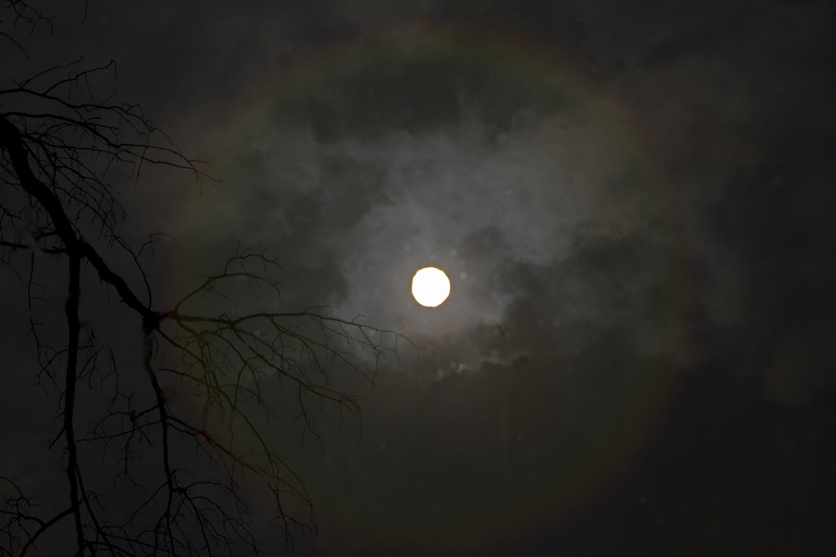 Qualcuno ci osserva!