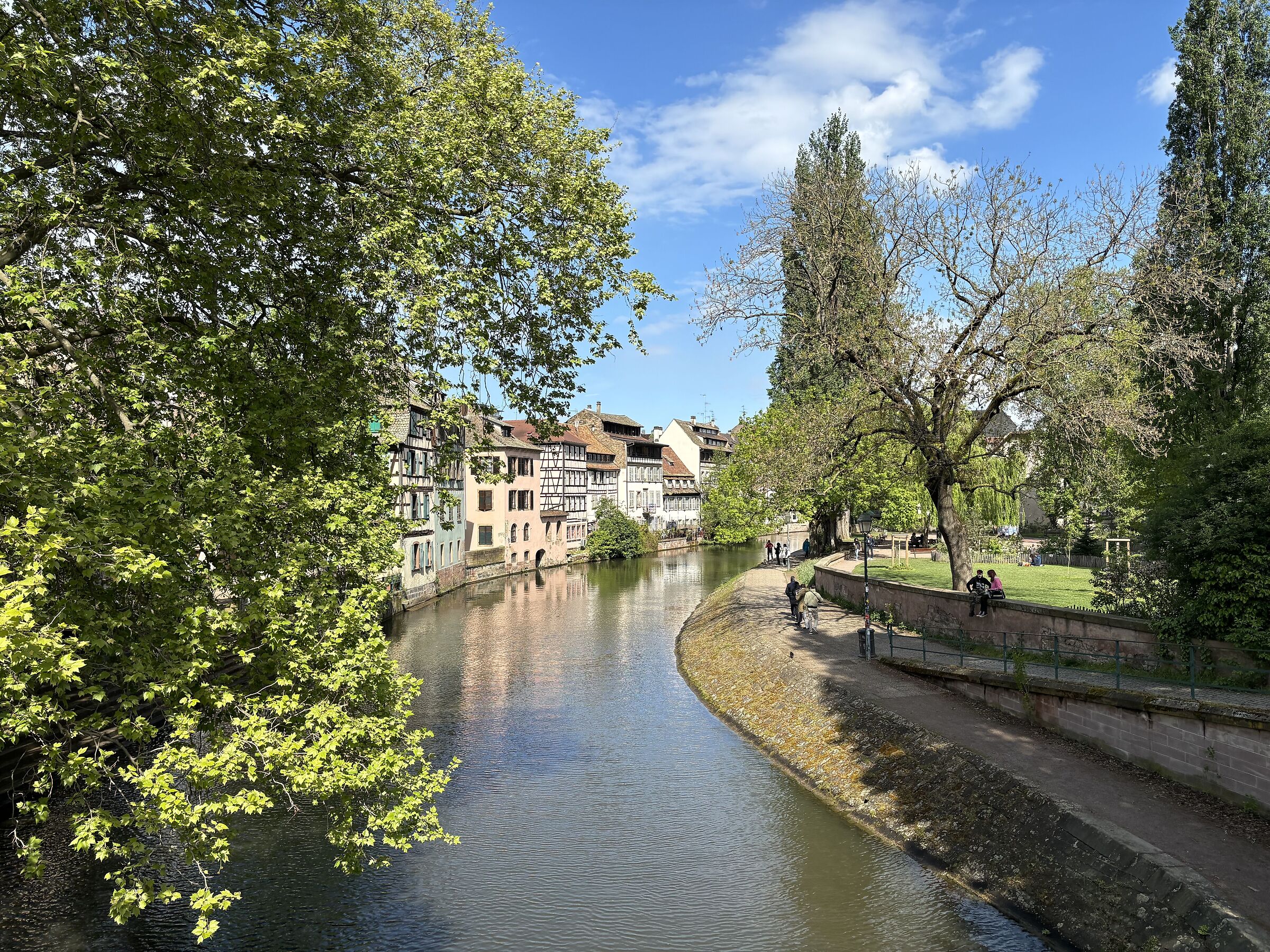 l' Ill Alsace April 2024