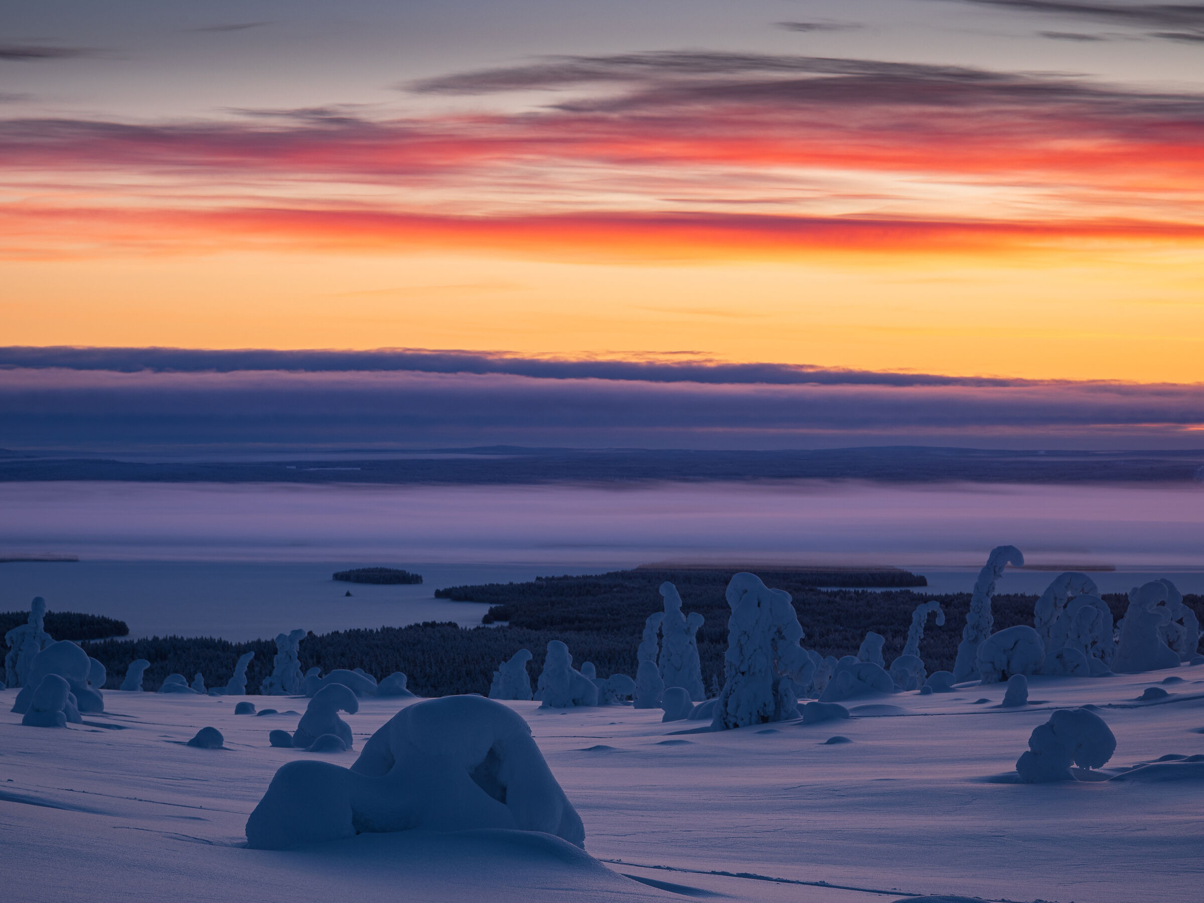 Infinite distese di neve