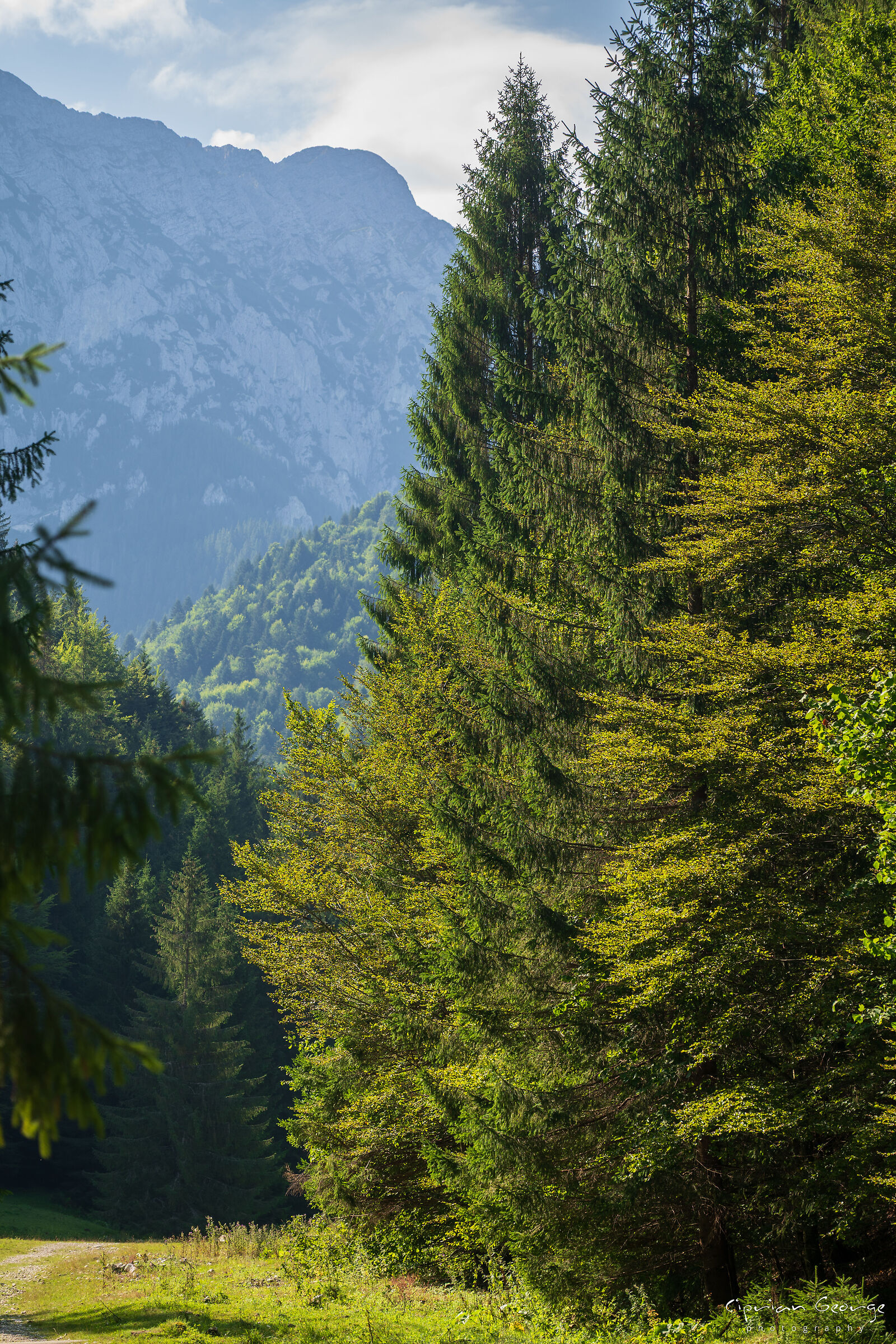 Prospettiva dei Carpazi
