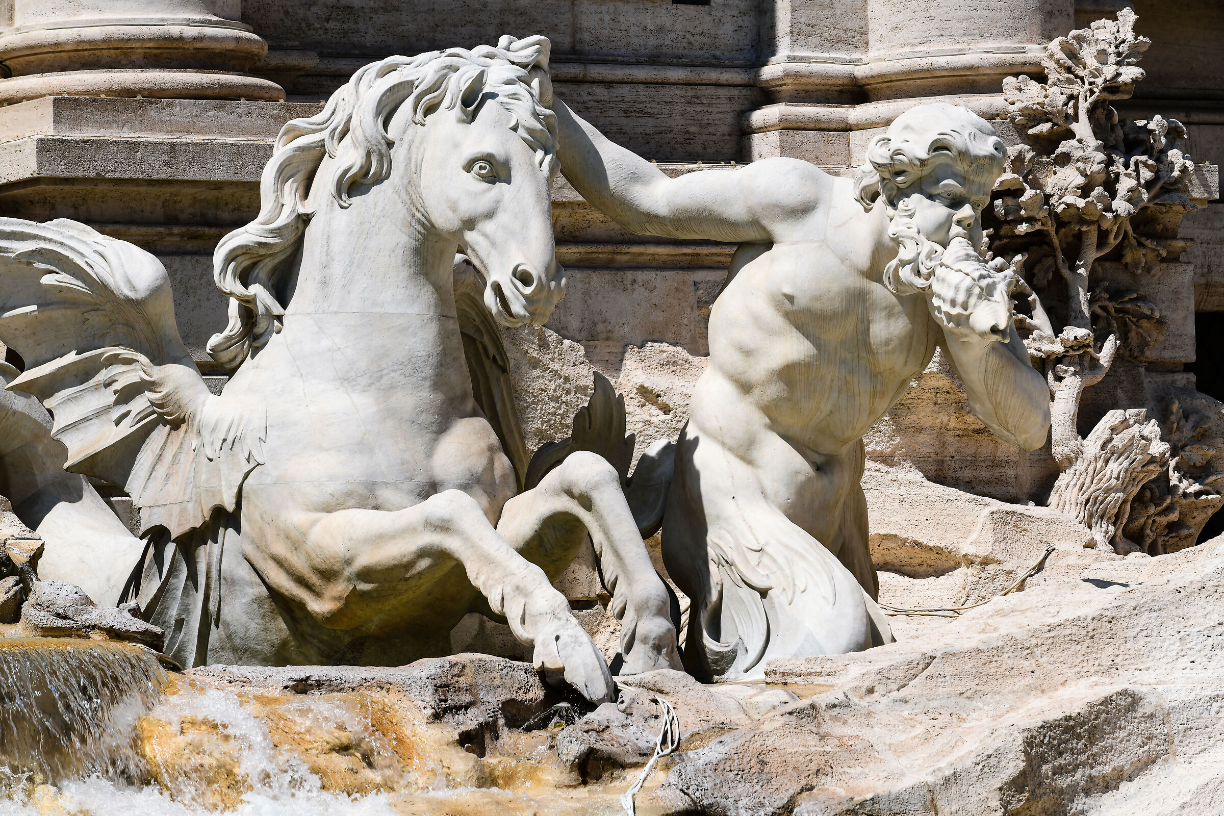 Rome-Detail Trevi Fountain