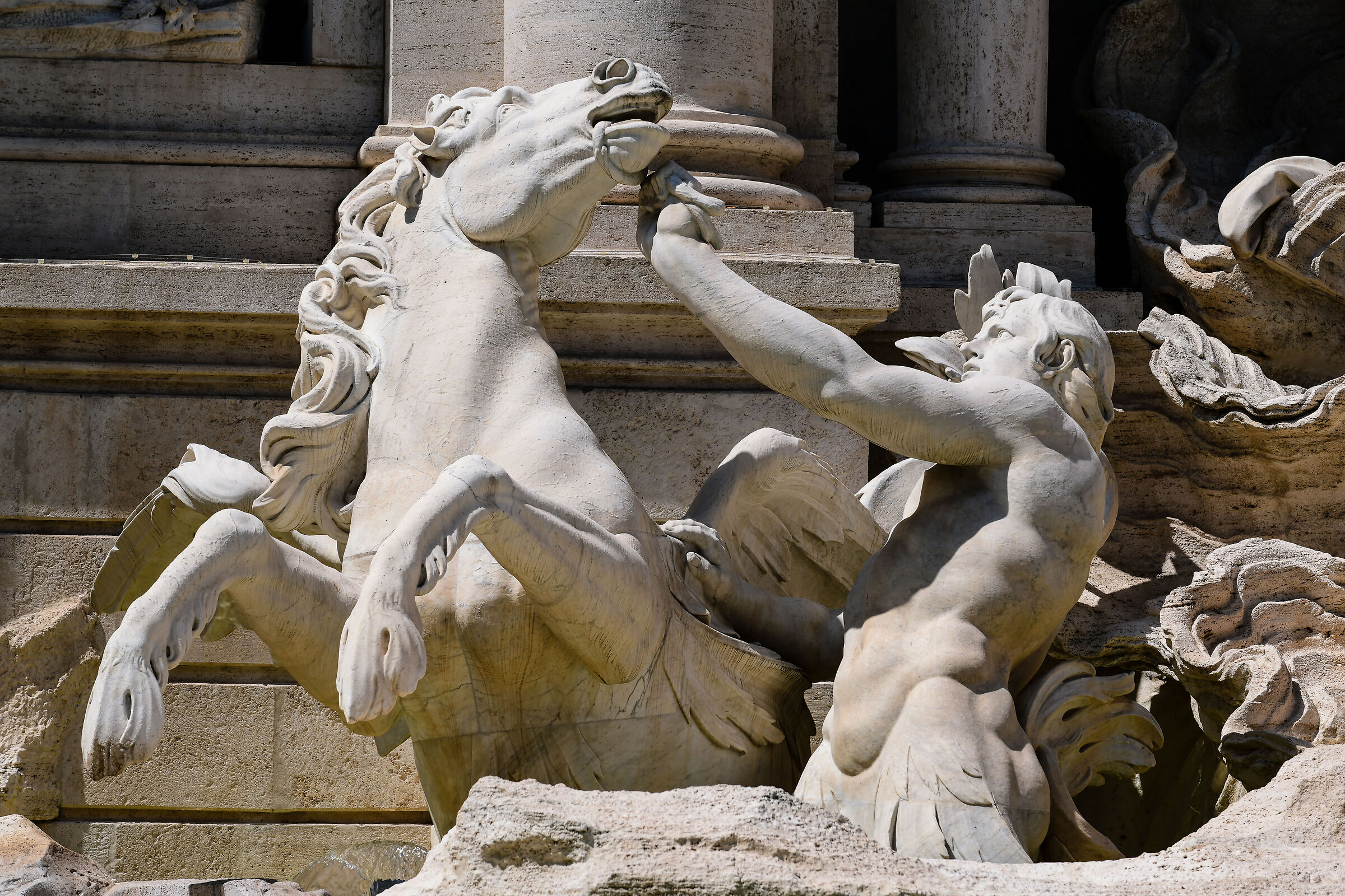 Rome-Detail Trevi Fountain