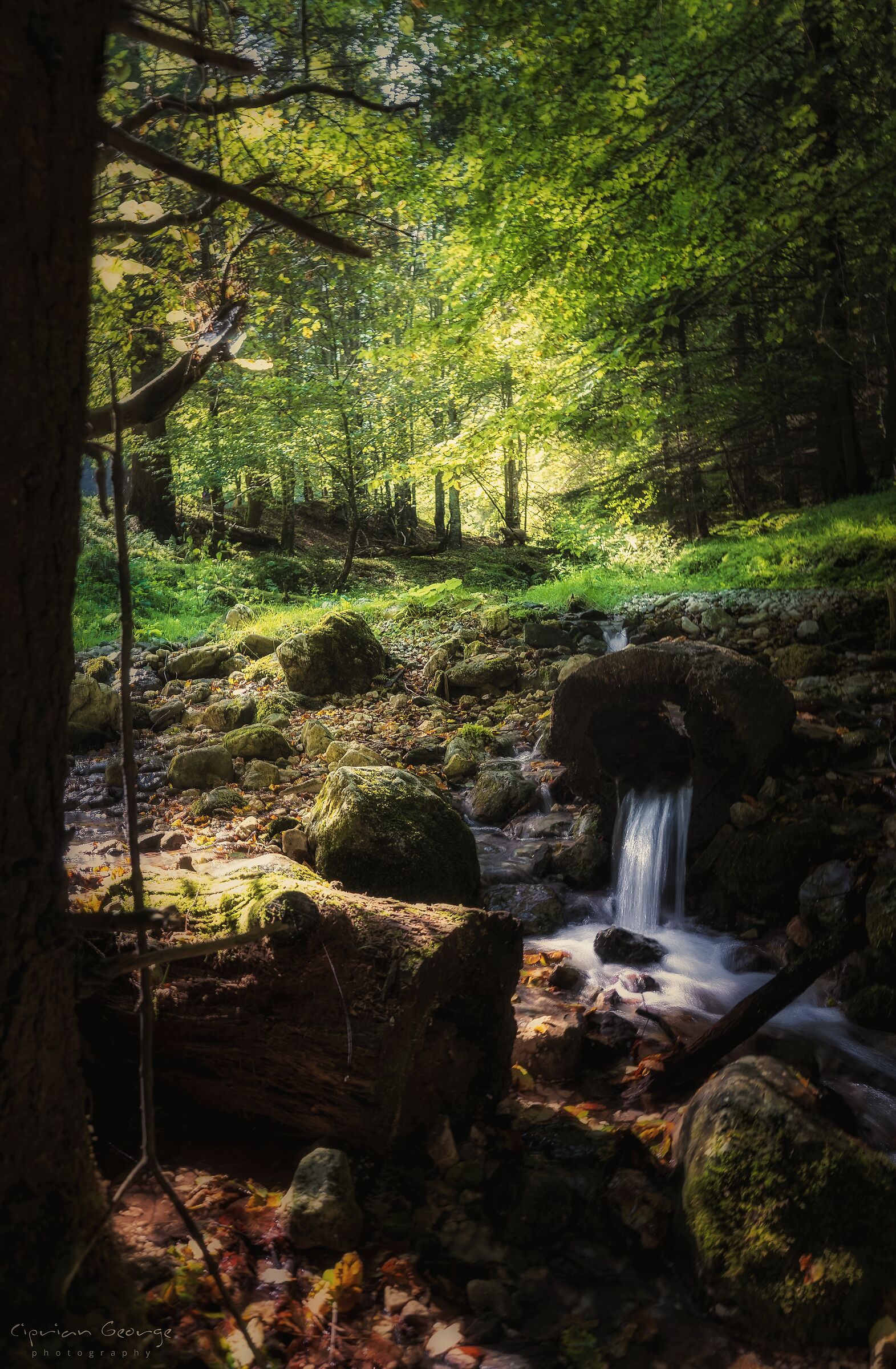 Ultimo respiro d'estate