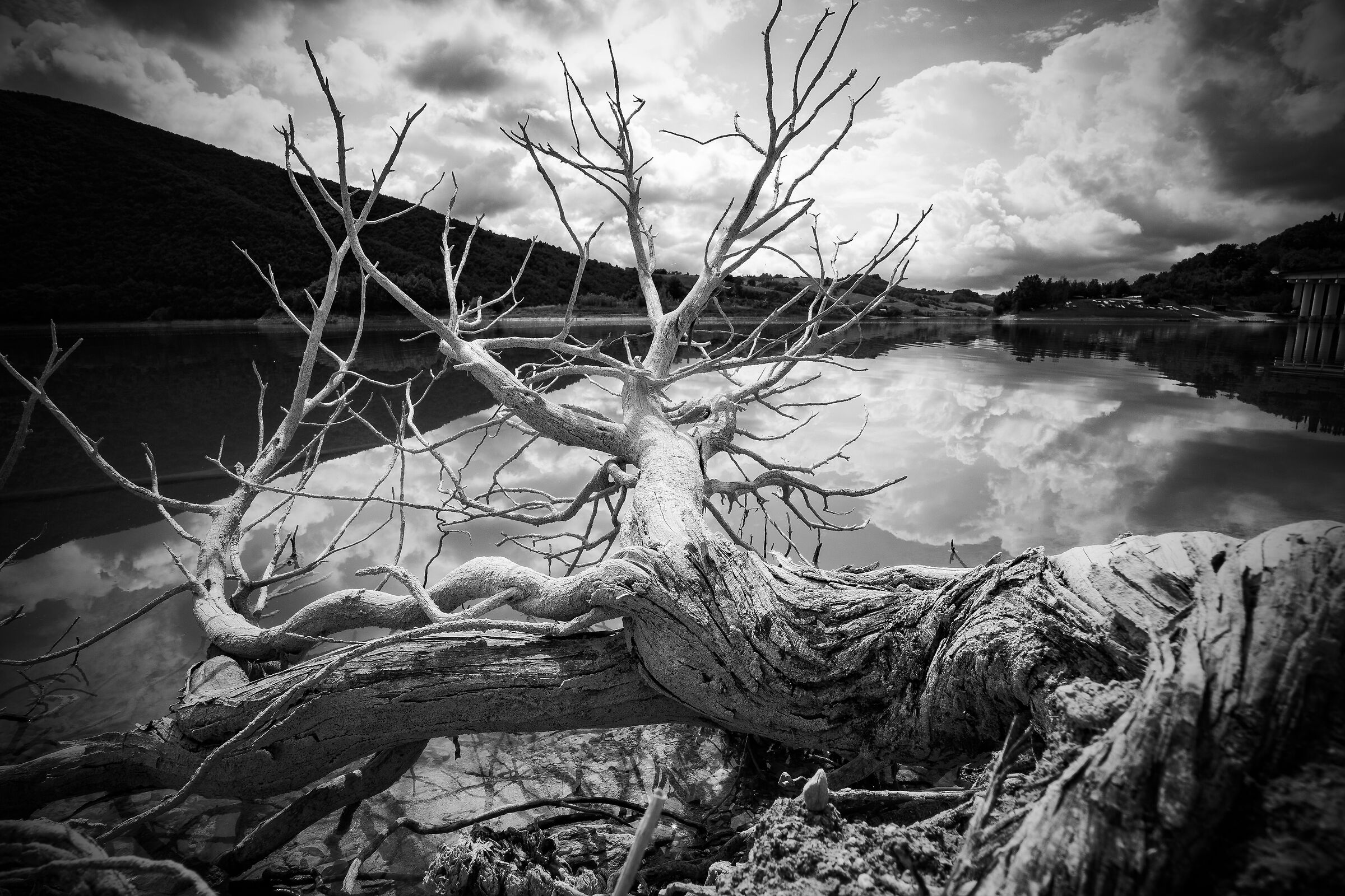 Uno scorcio sul lago