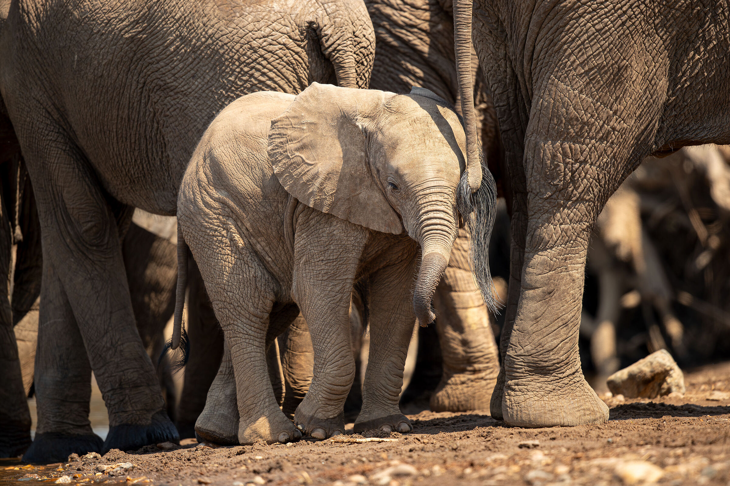 La sicurezza del gruppo...