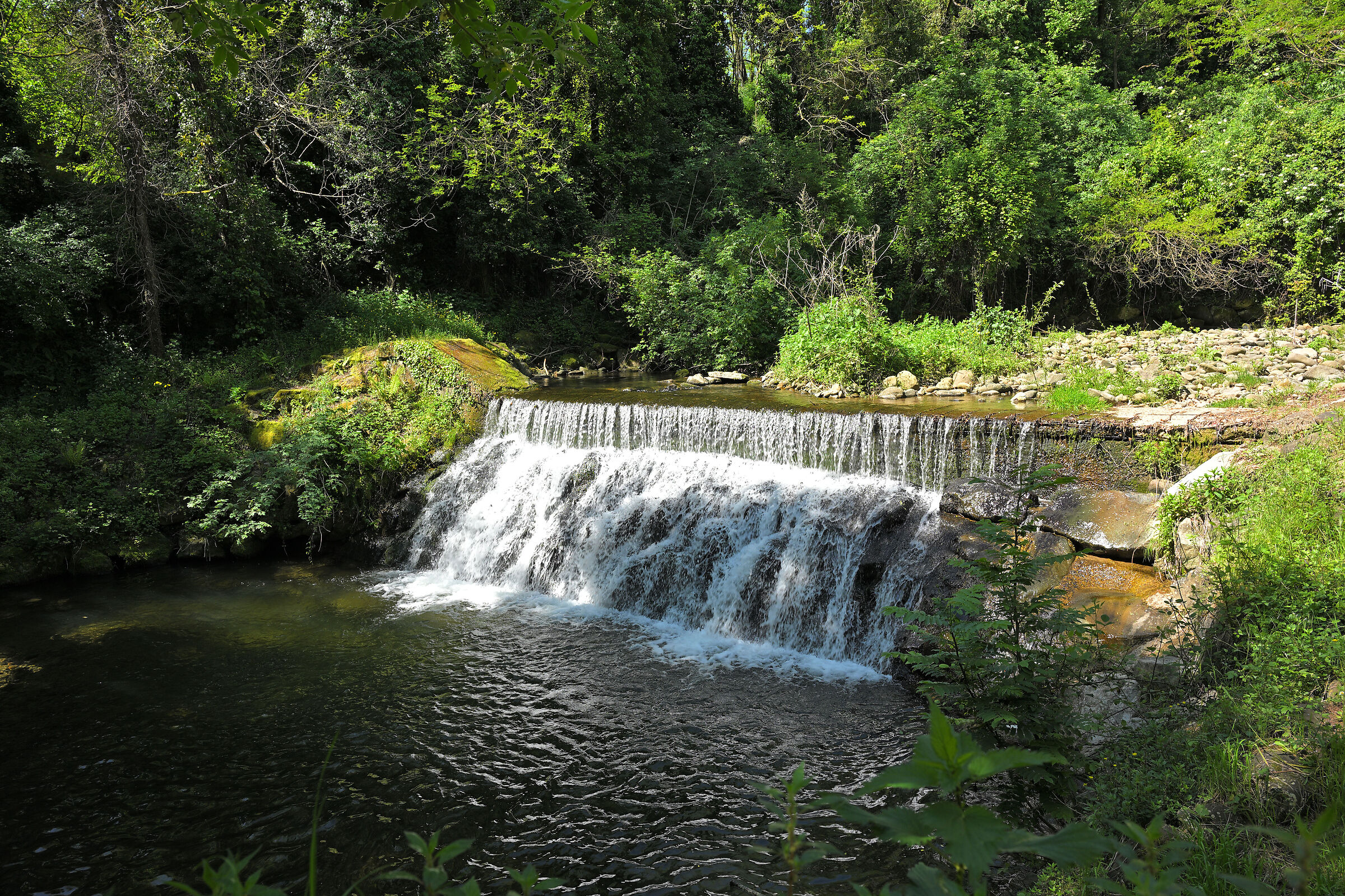 Waterfall in the woods