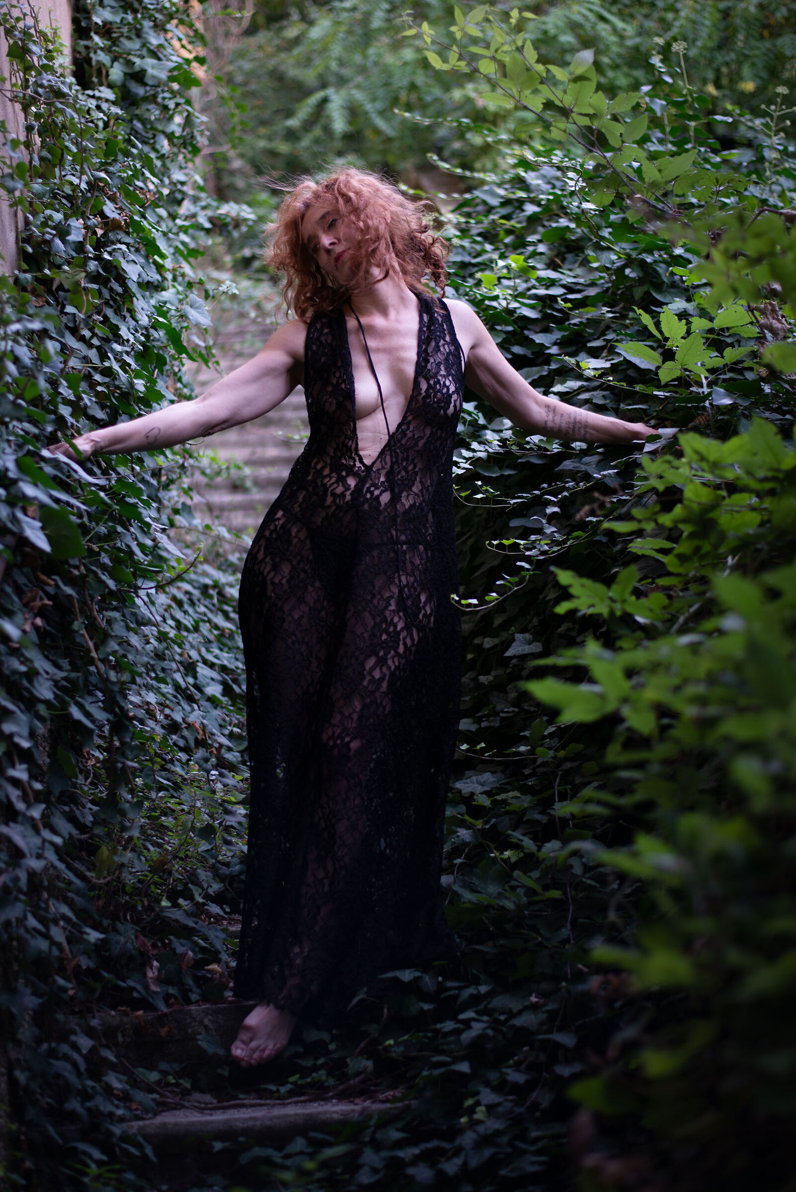 Dreams in the Garden