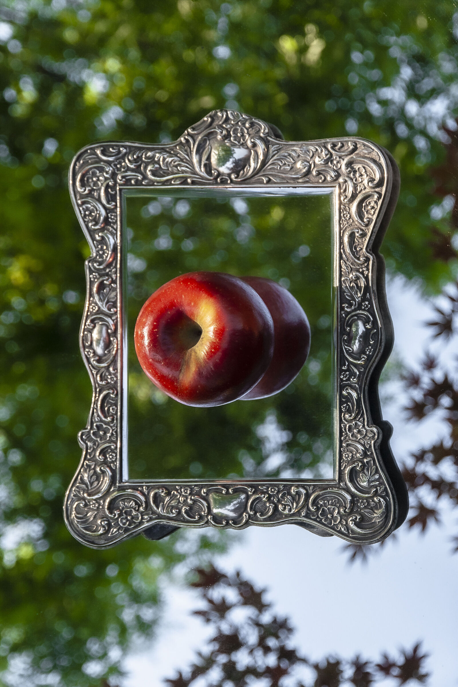 In cerca di Biancaneve