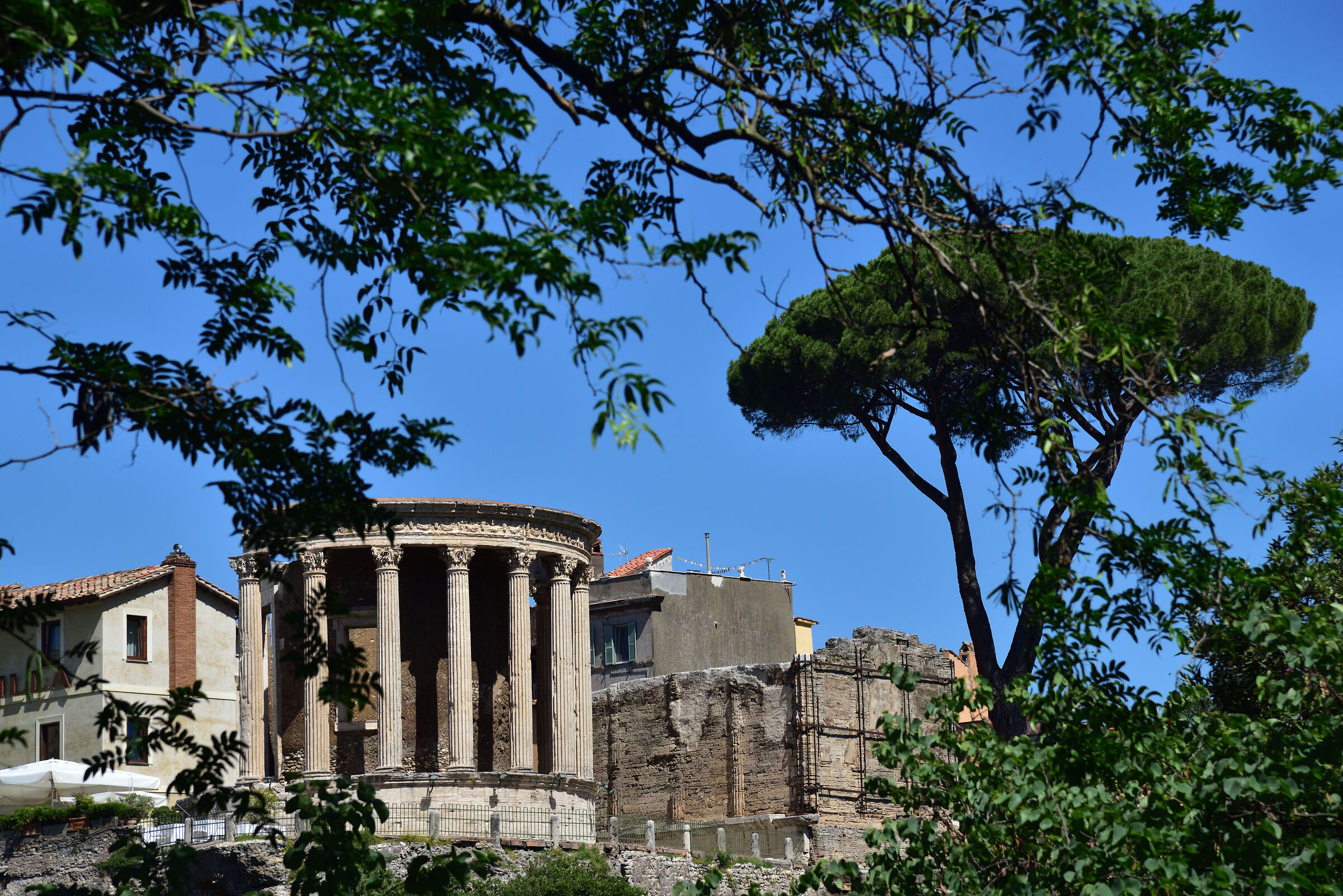 veduta del Tempio di Vesta