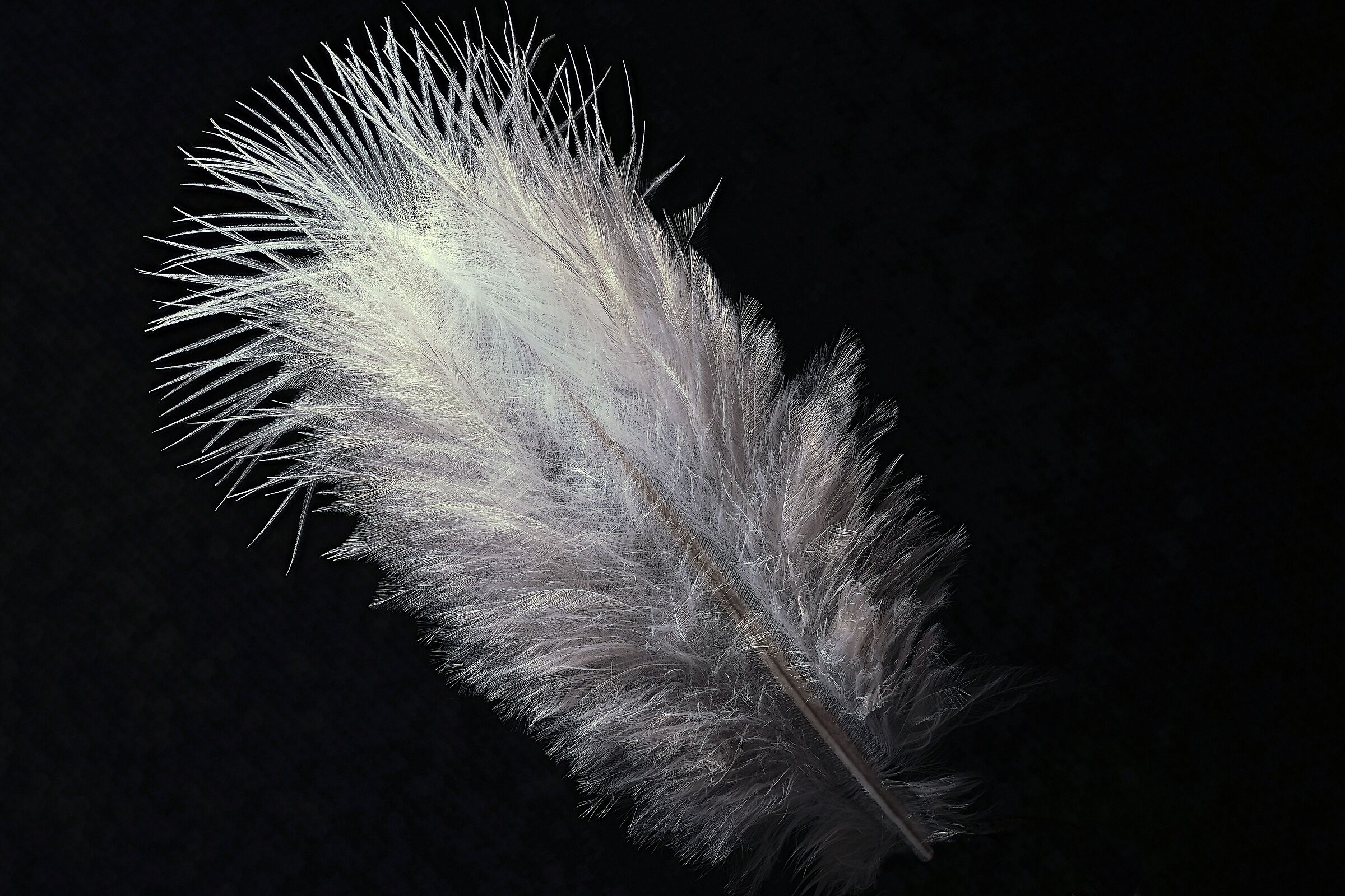 La soluzione (dei miei problemi) Continua..