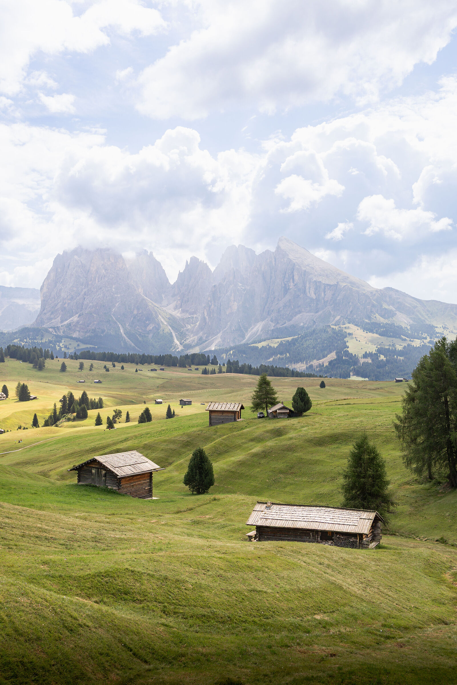 Alpe di Siusi