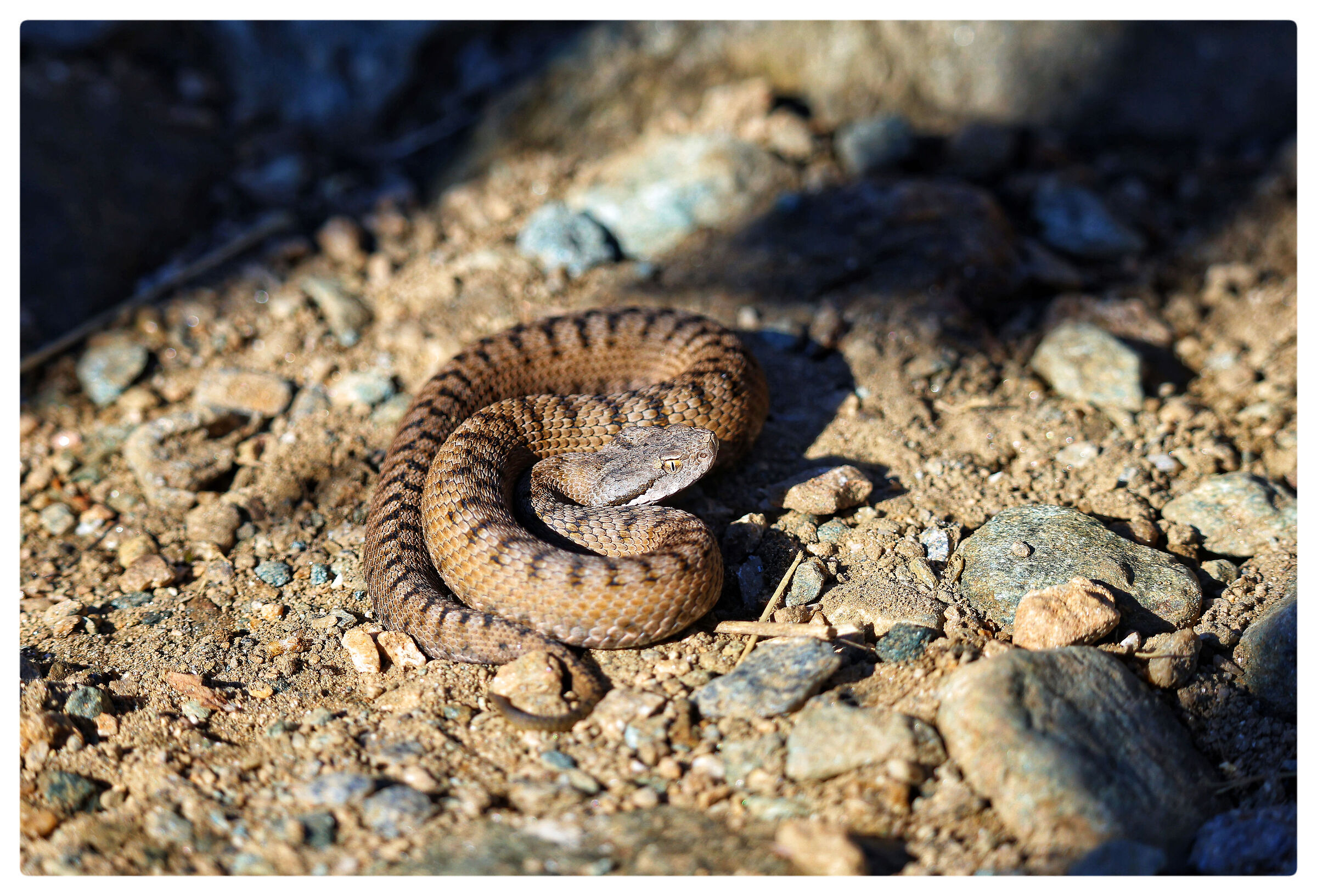 In armonia con la natura