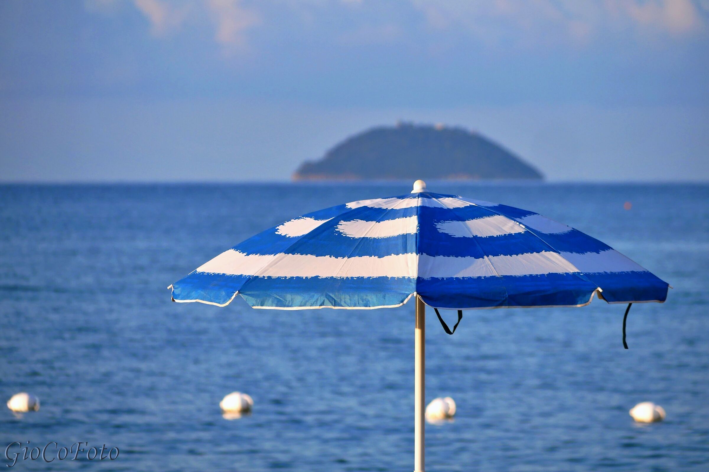 convessità condivise