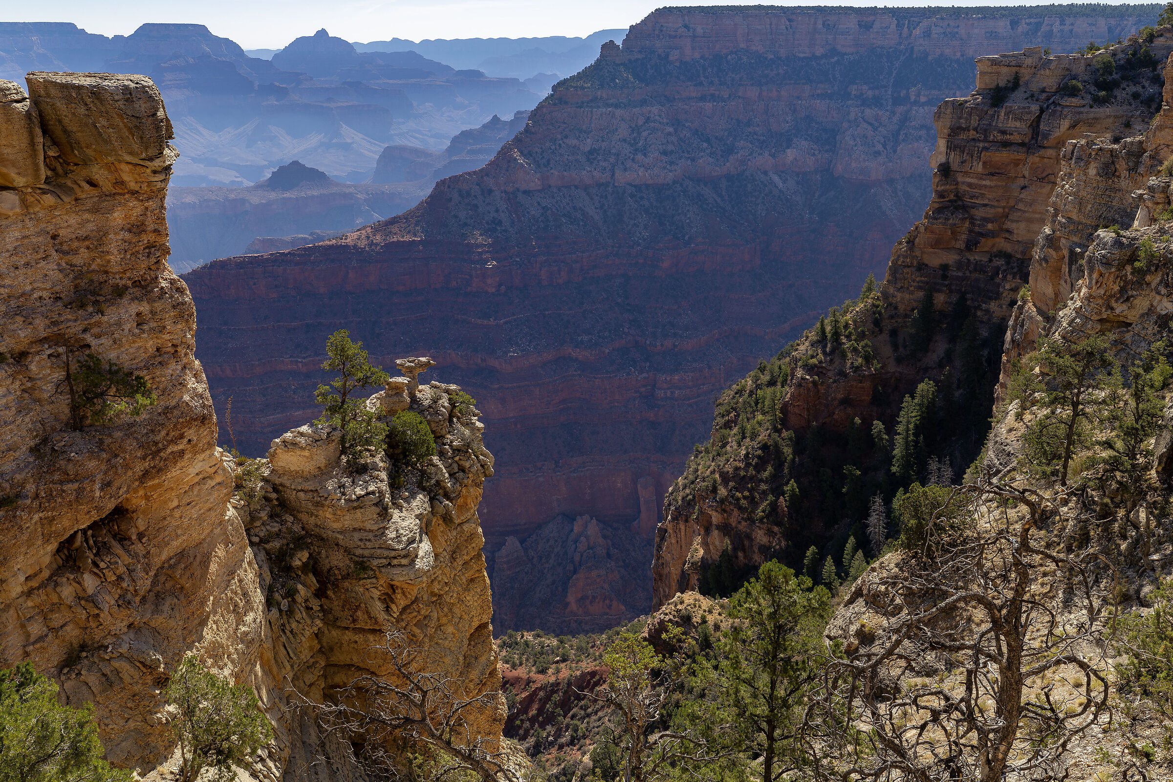 Grand Canyon Mother Point VI