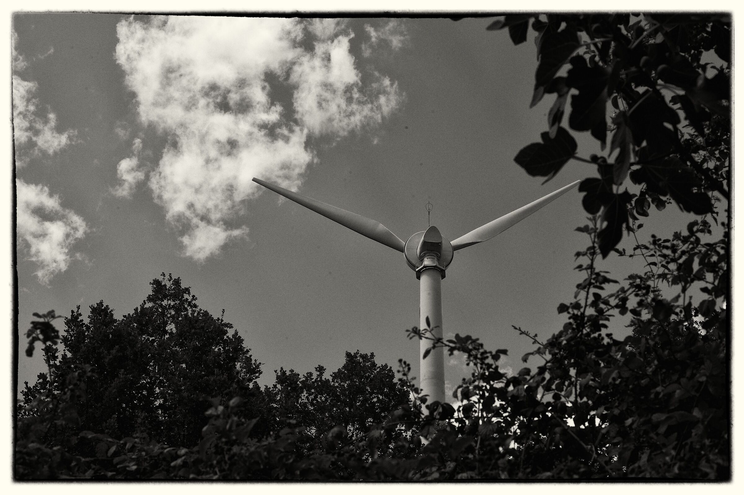 The War of the Worlds