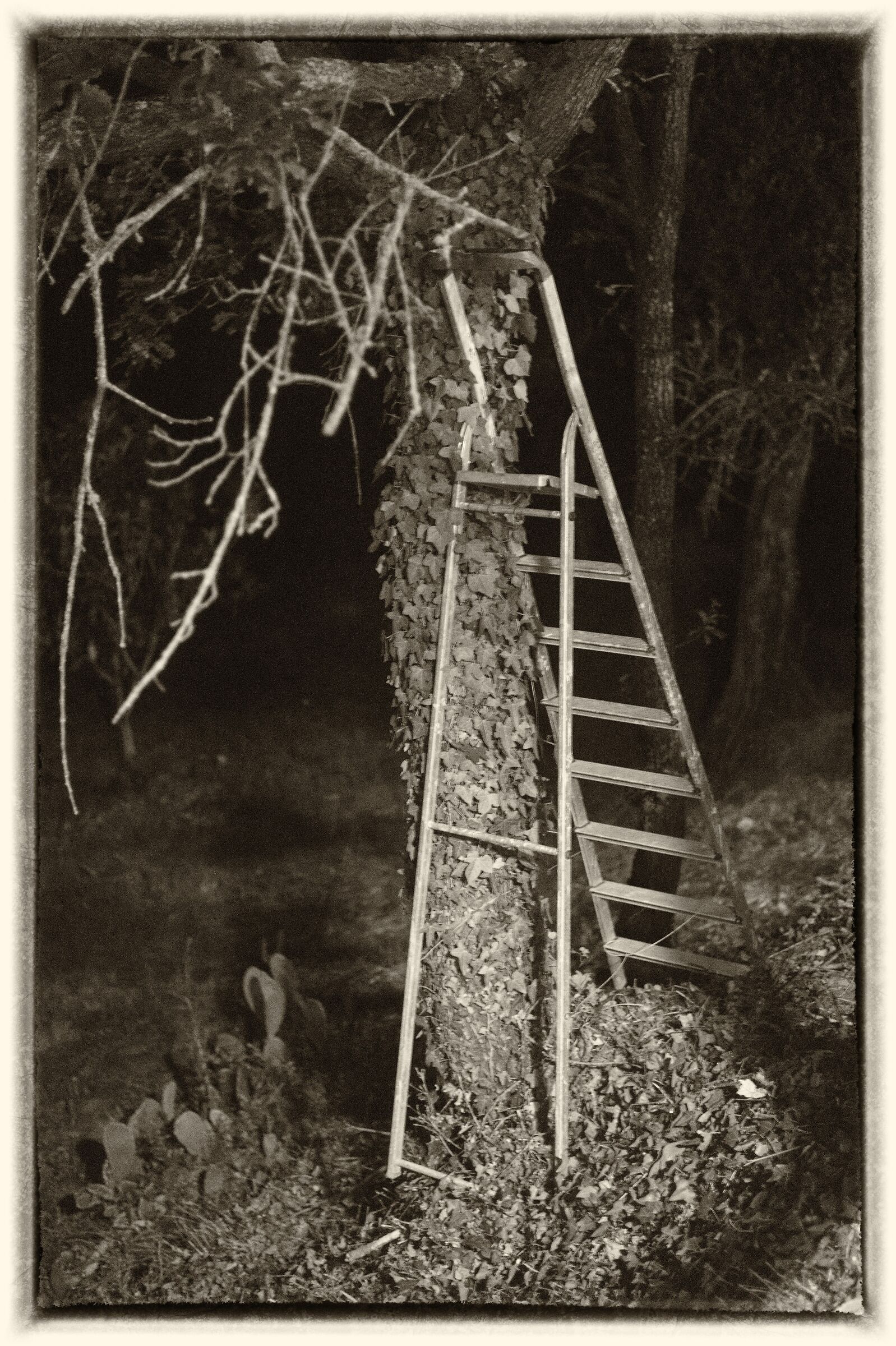 The staircase