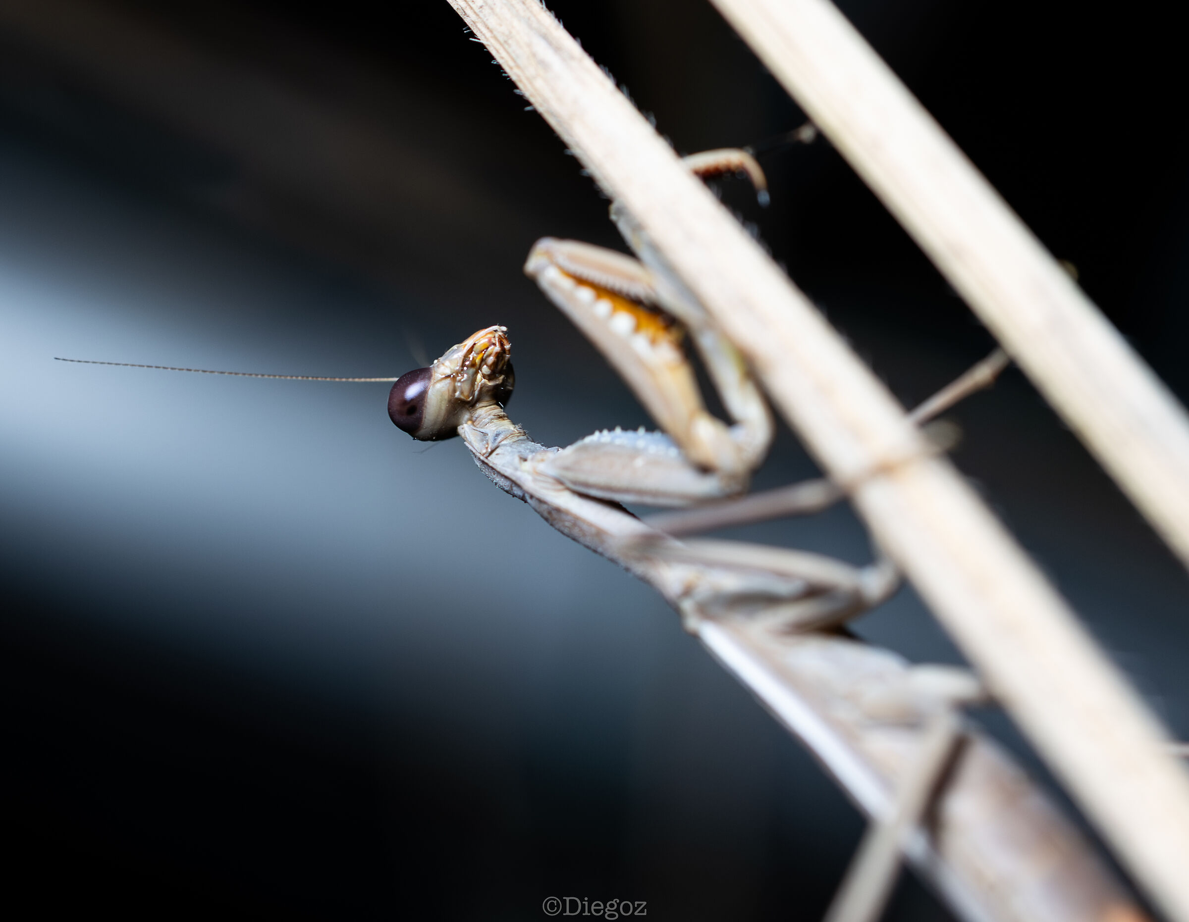 Untitled Photo