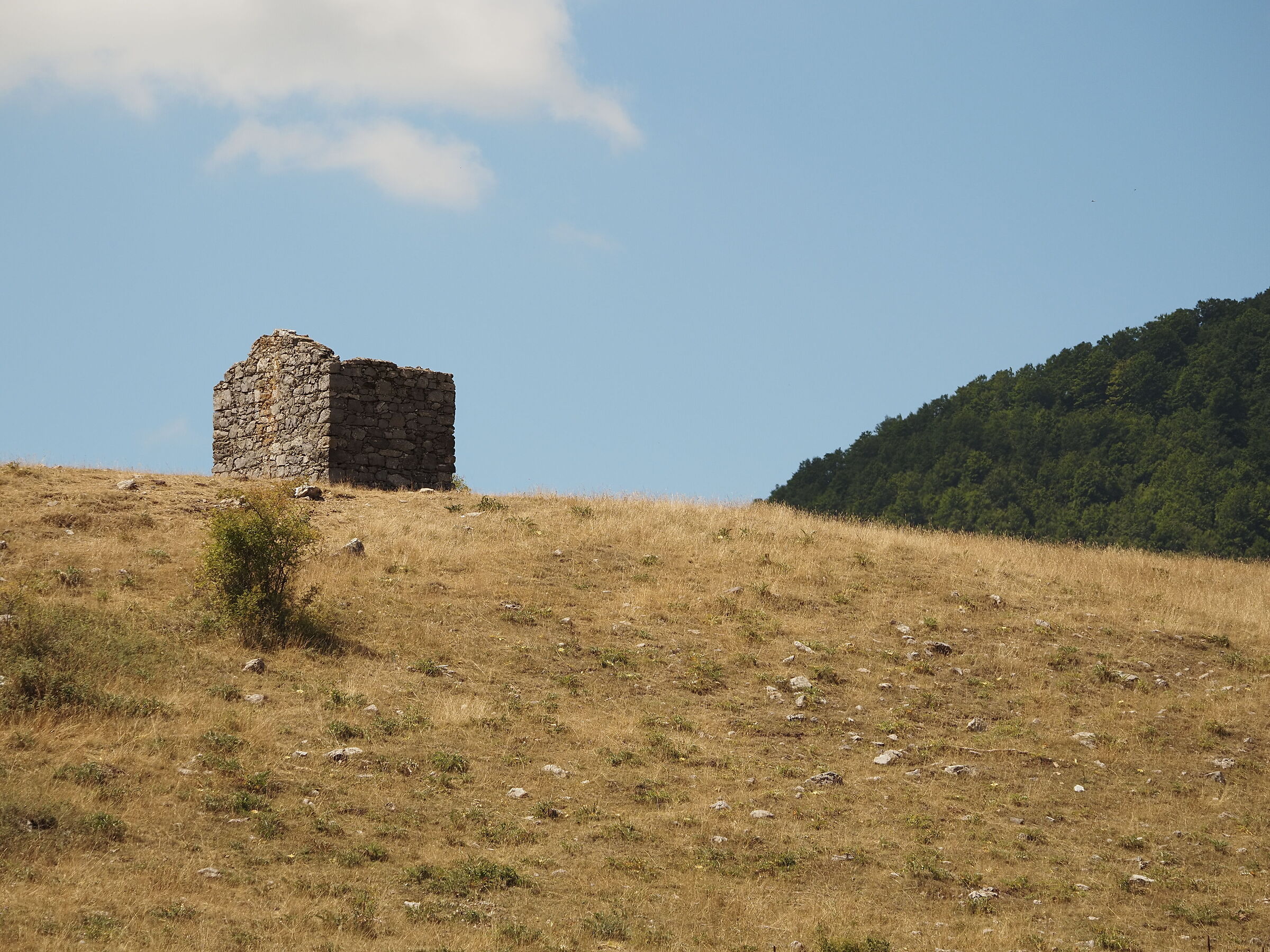Porzione Piano Ruggio.... Parco Nazionale del Pollino