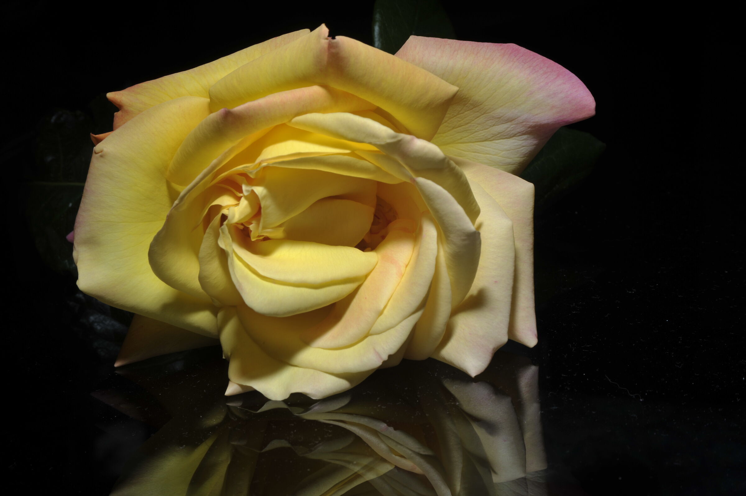 Untitled Photo