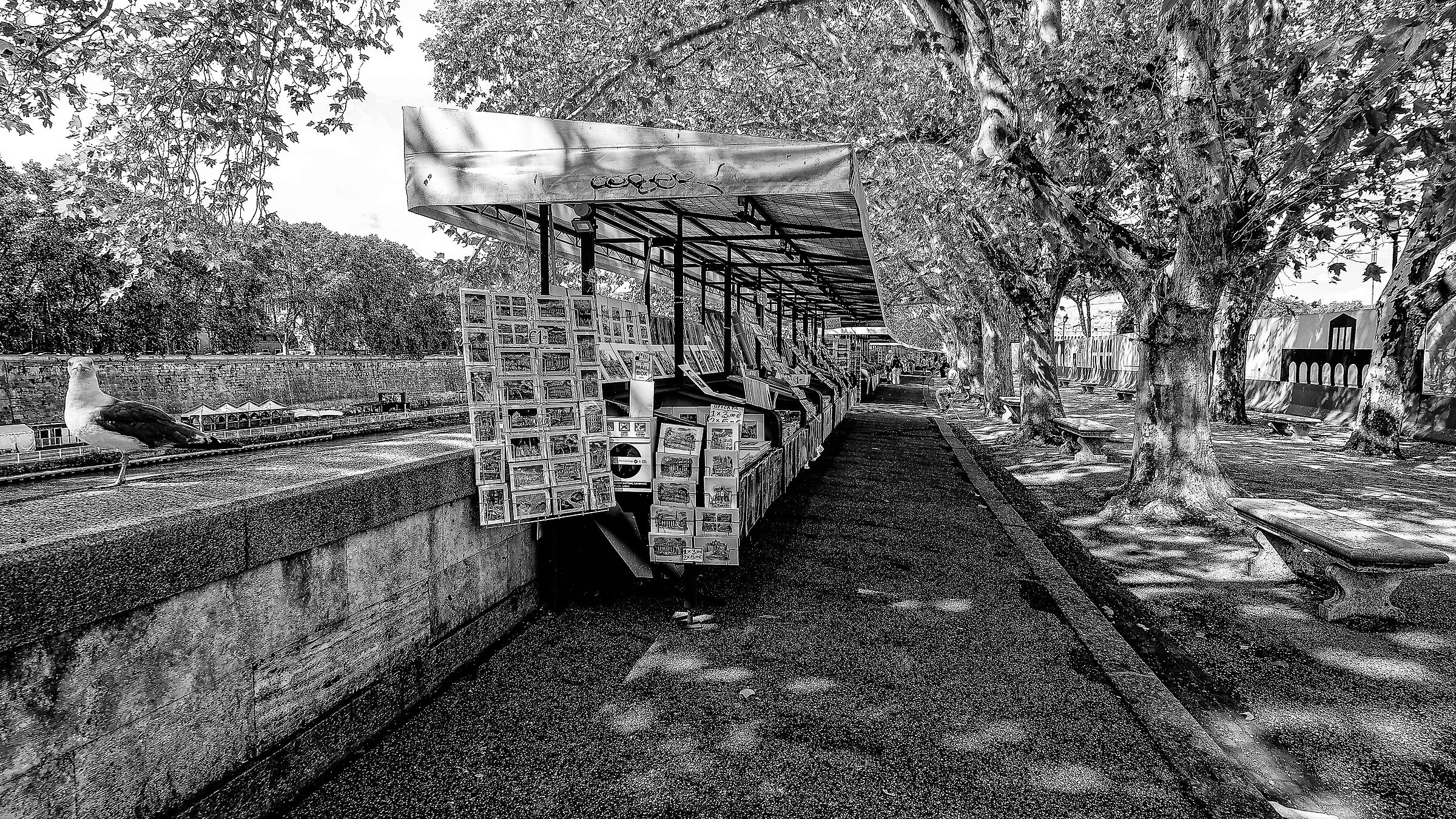 Lungotevere Castello