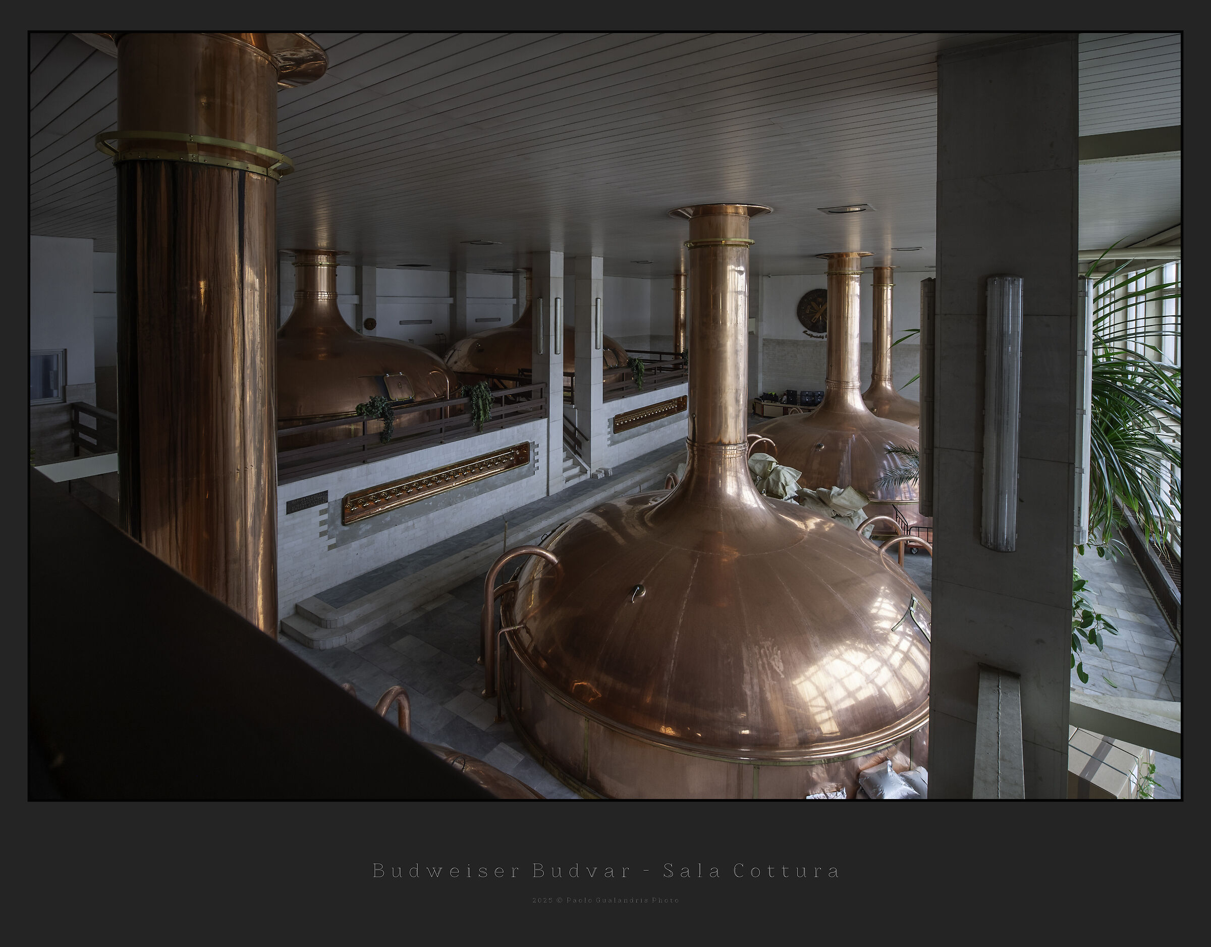 Budweiser Budvar - Sala Cottura