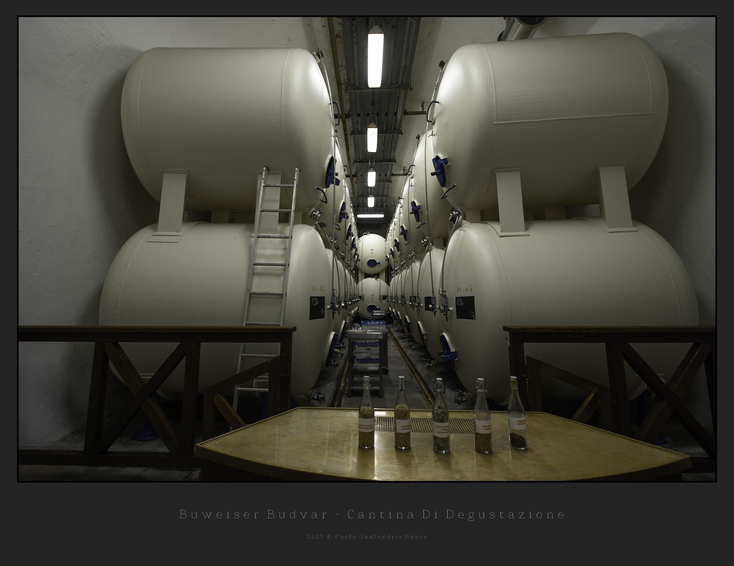 Budweiser Budvar - Cantina Di Degustazione