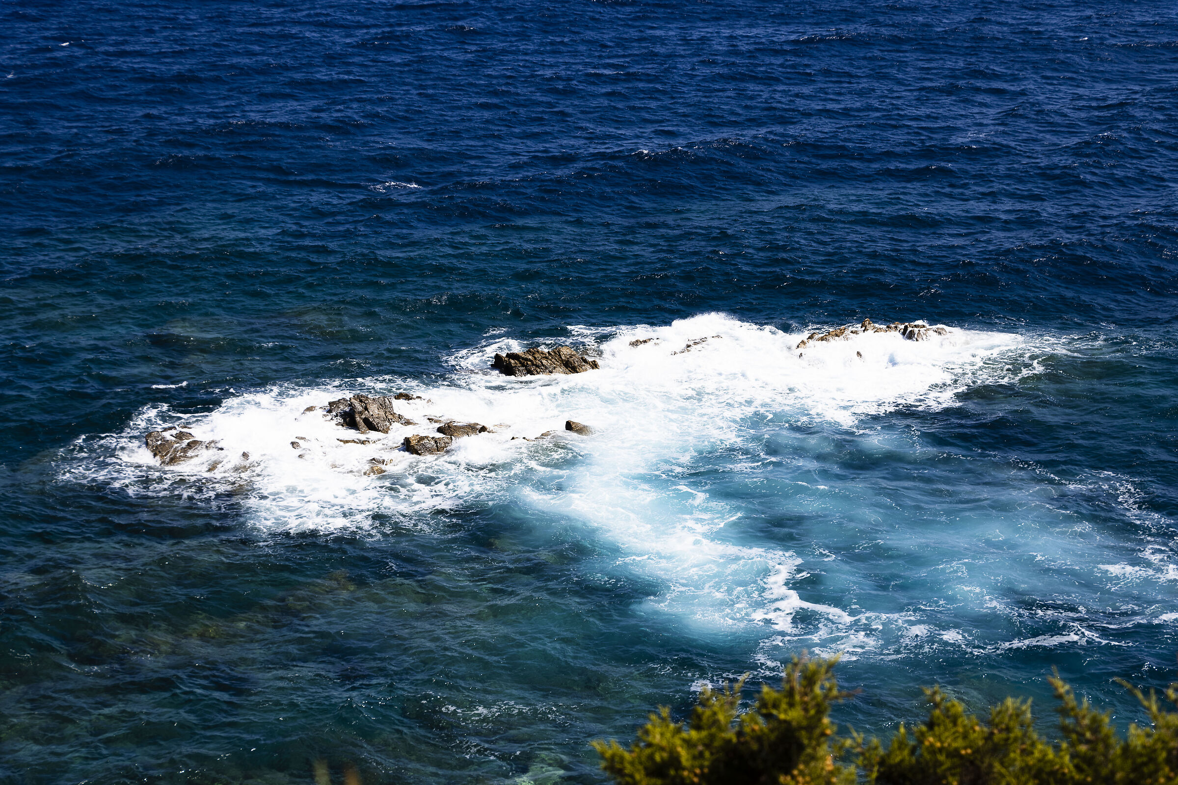Maxi Yacht Rolex Cup