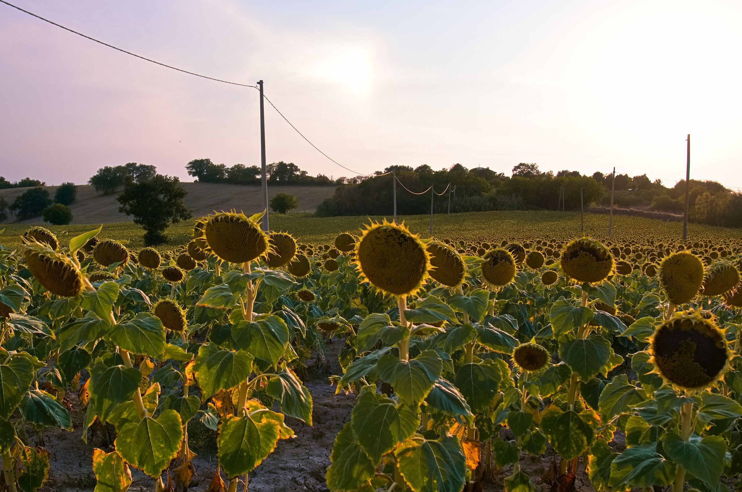 Coccole di luce prima del tramonto