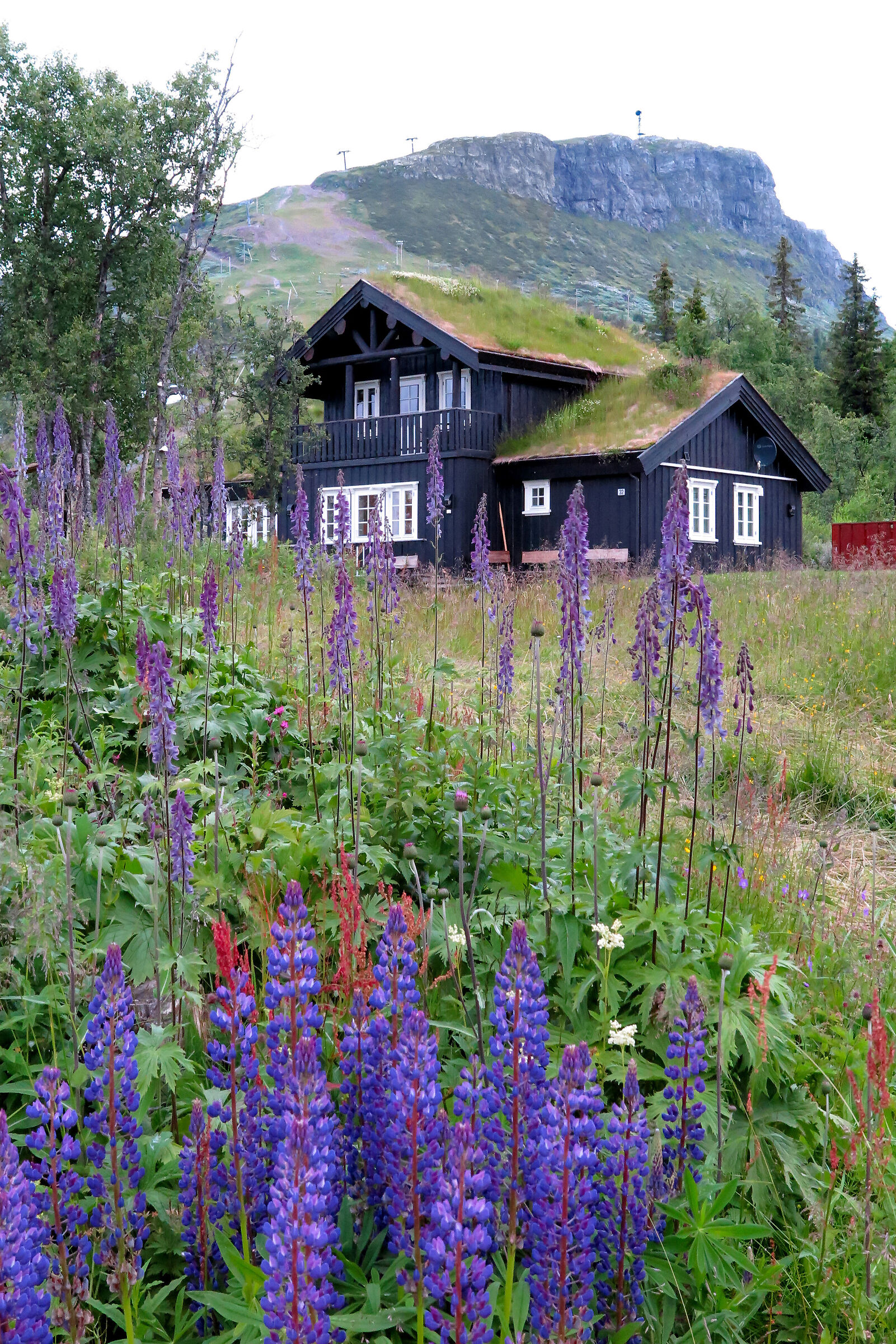Mountain house