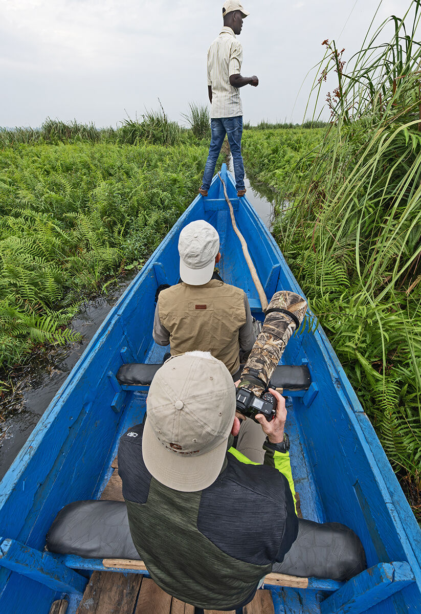 Mabamba swamp