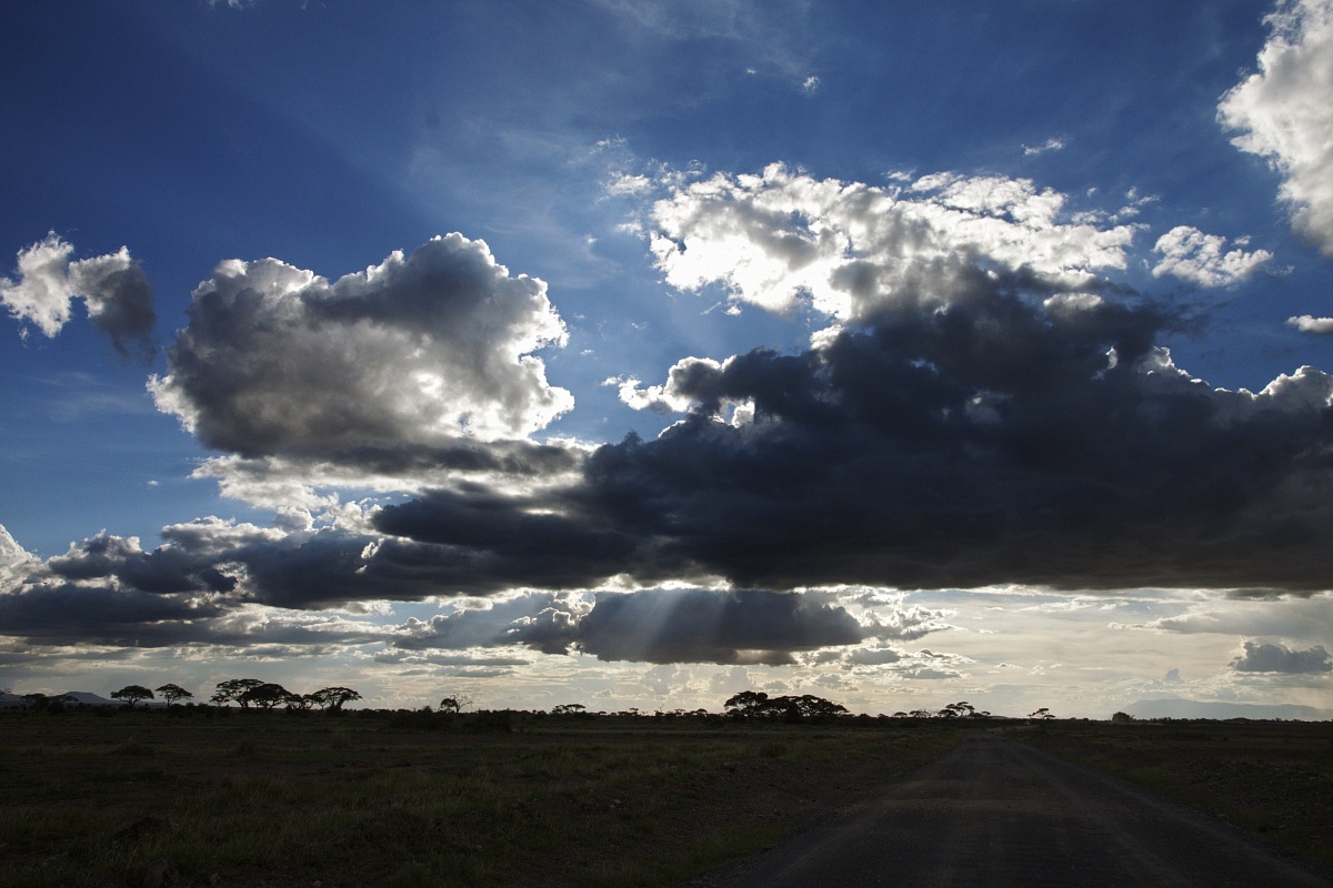 Un raggio di sole per te