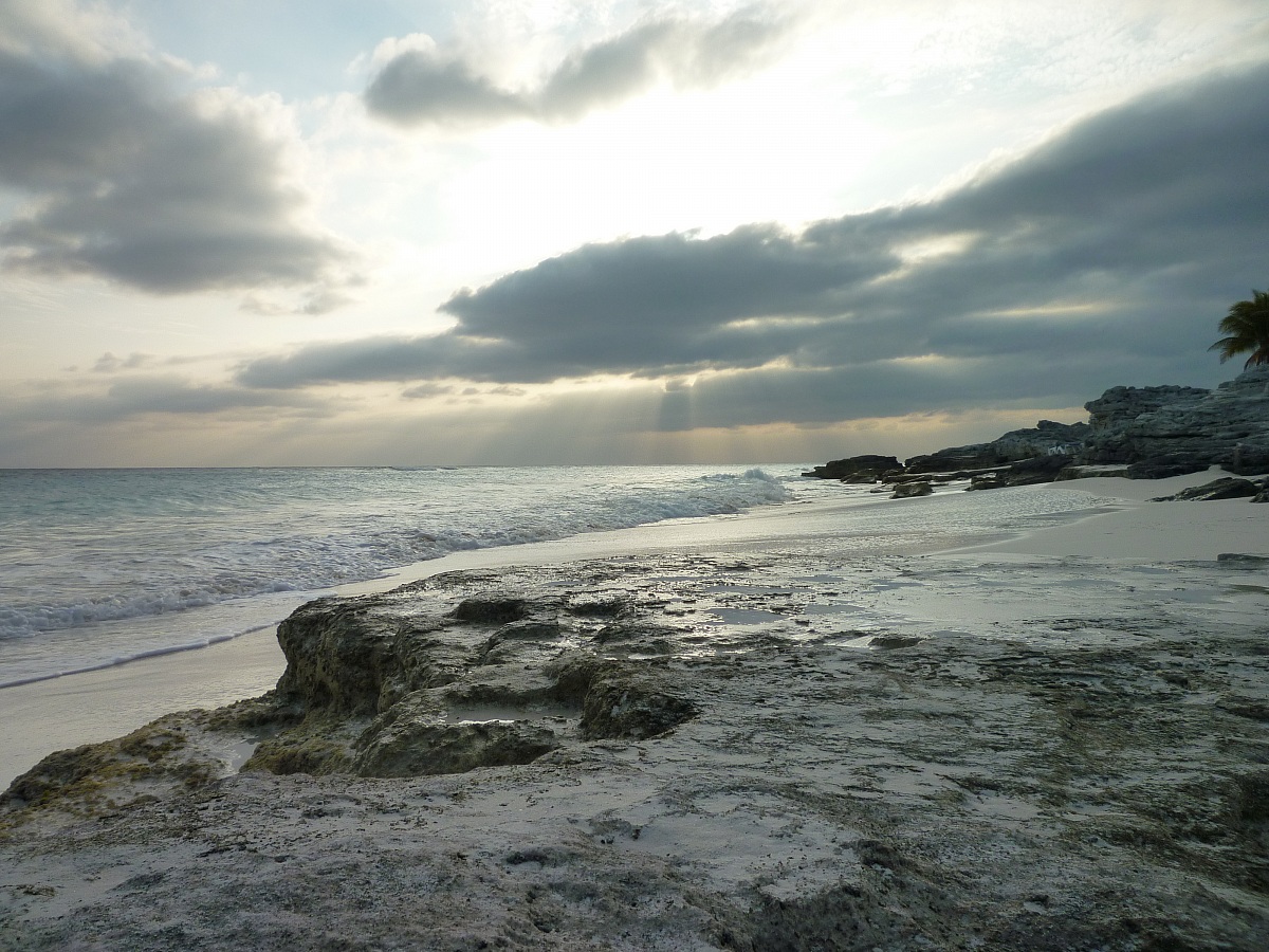 uncertain dawn ........... .......