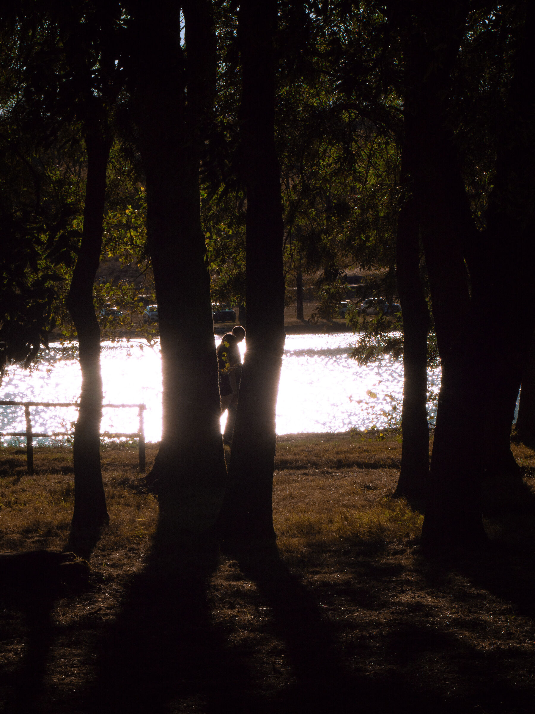 The beat of my footsteps
