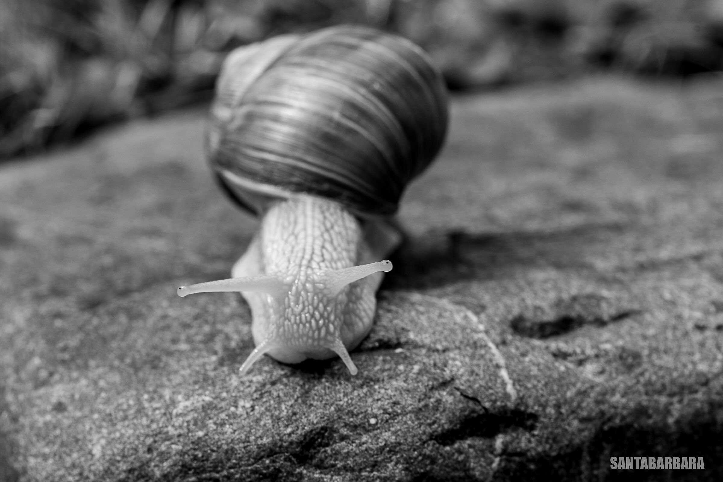 Those who go slowly go far...
