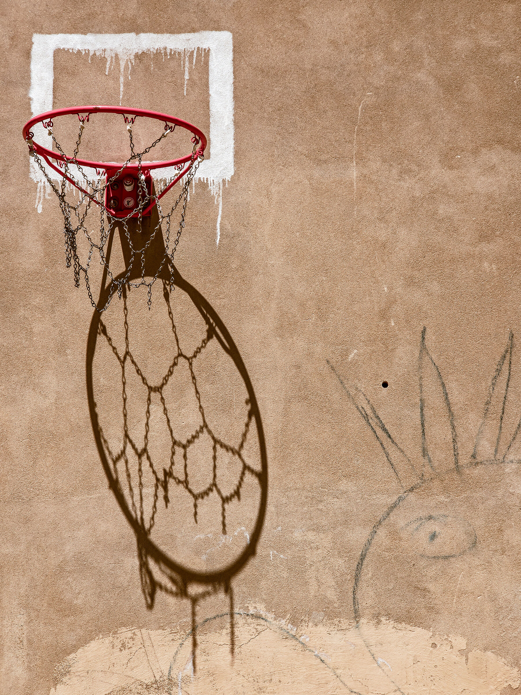 Hoops and Hares