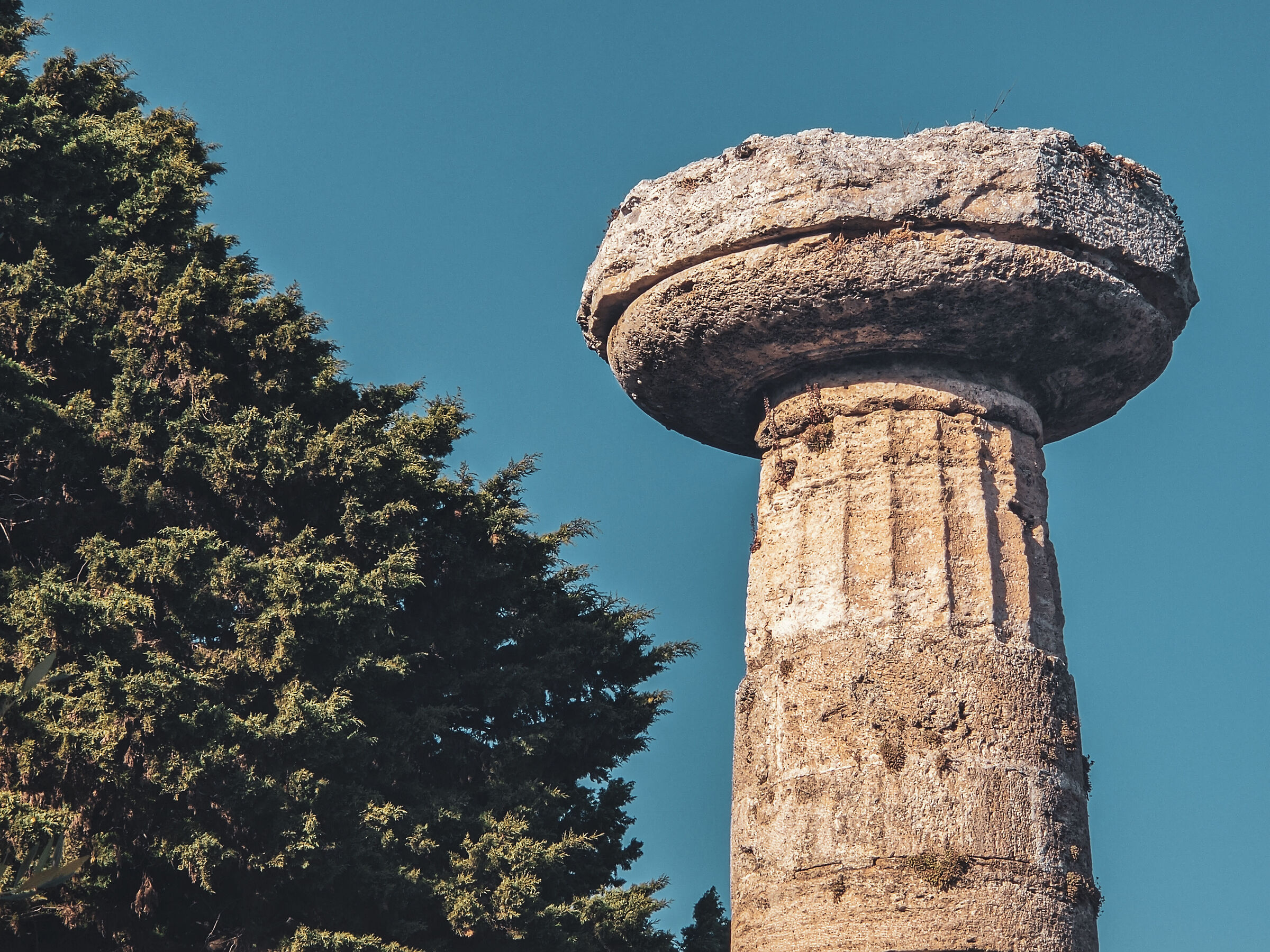Paestum