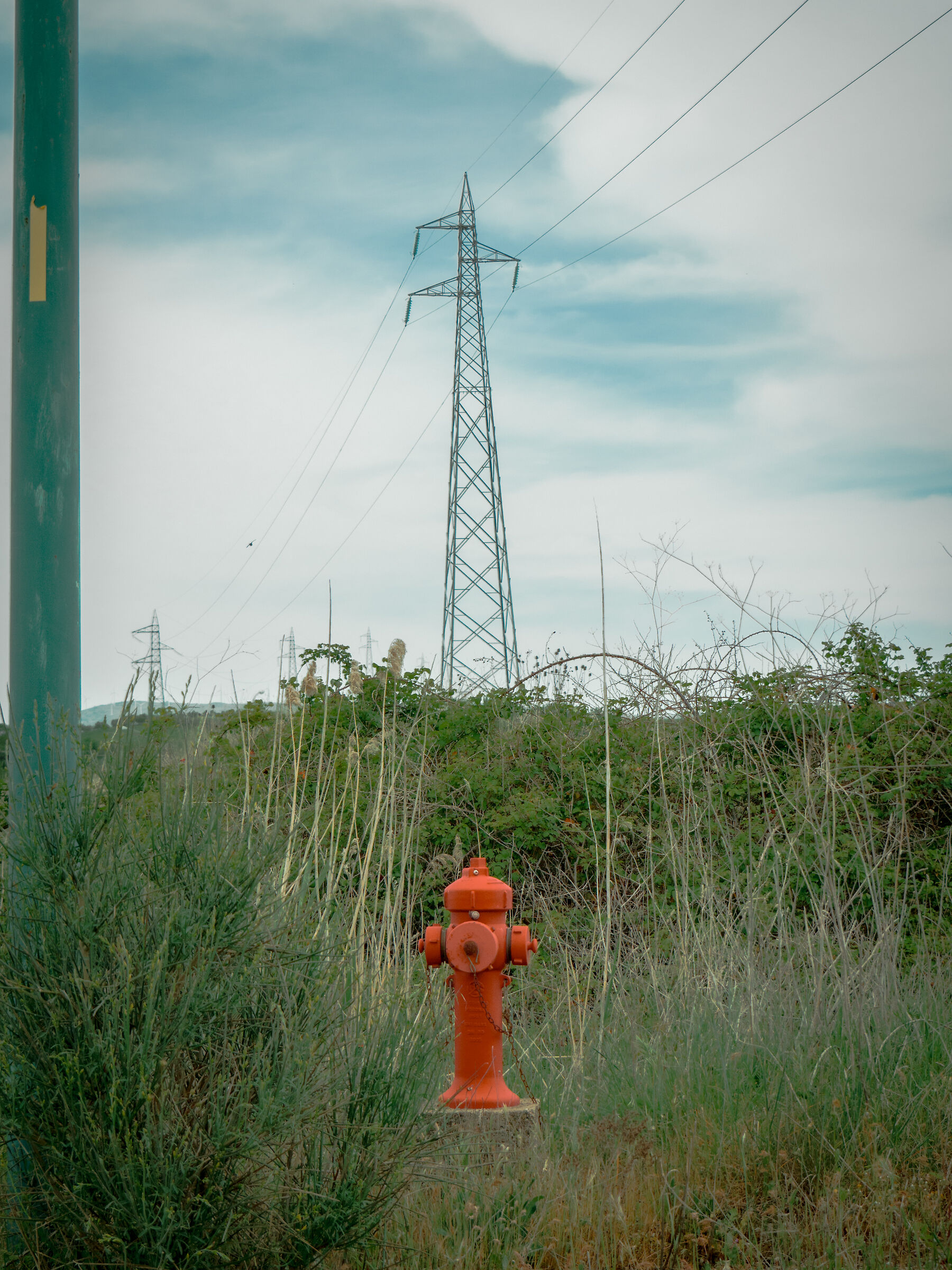 A wild Hydrant appears!