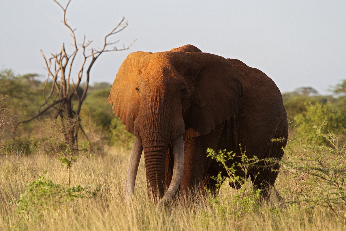 Incontri alle ultime luci della sera