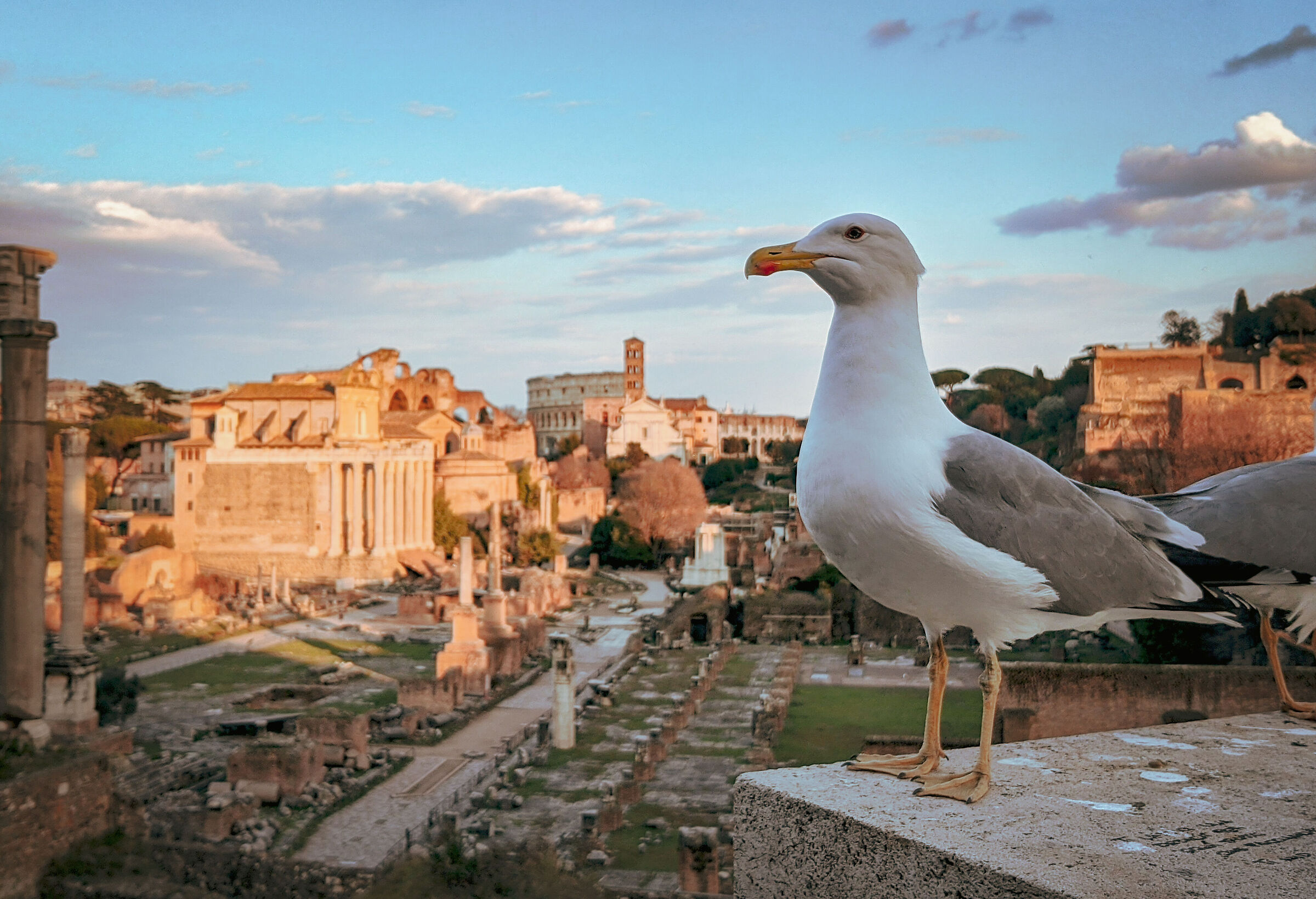 We were here when Rome fell