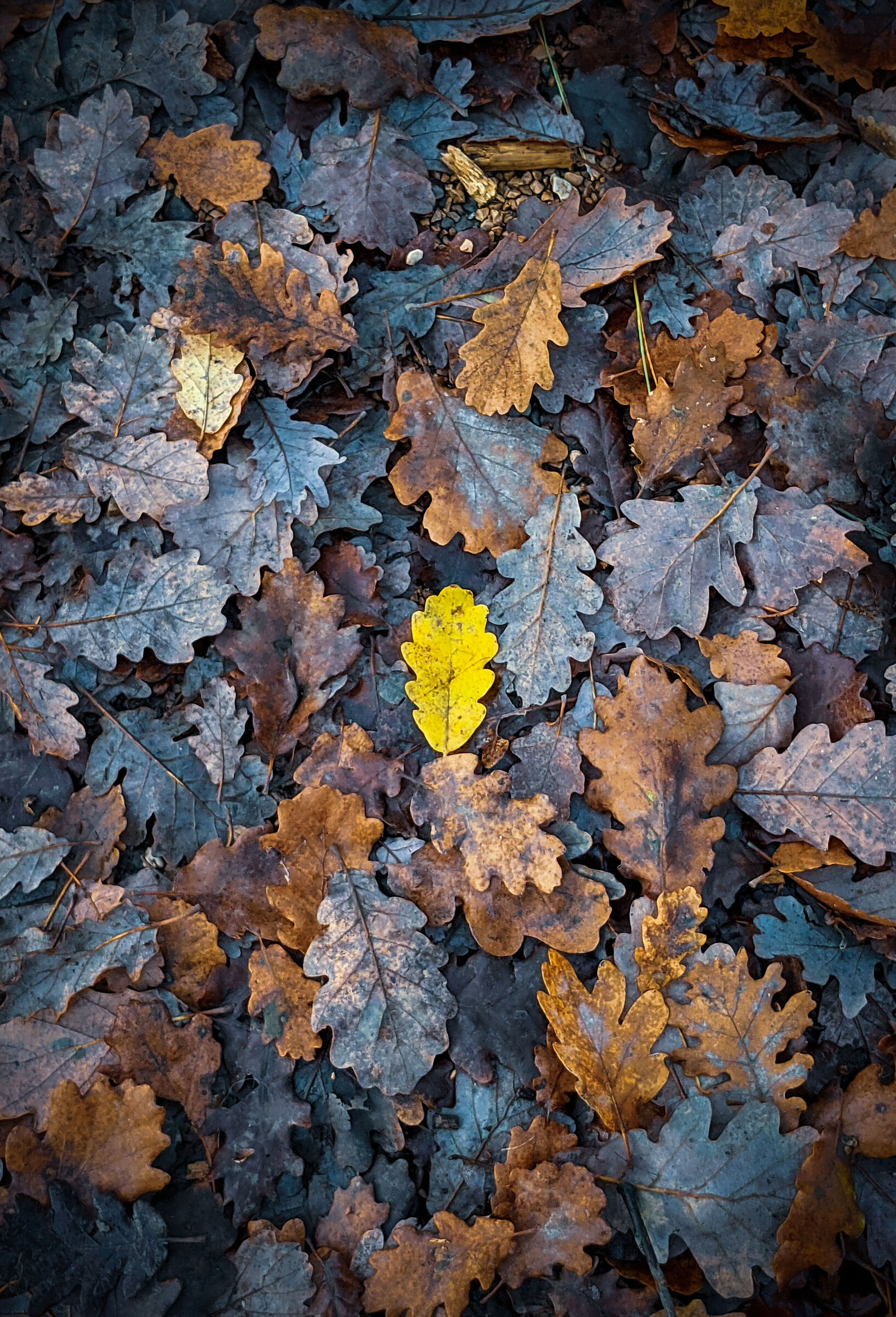 She told me I was special