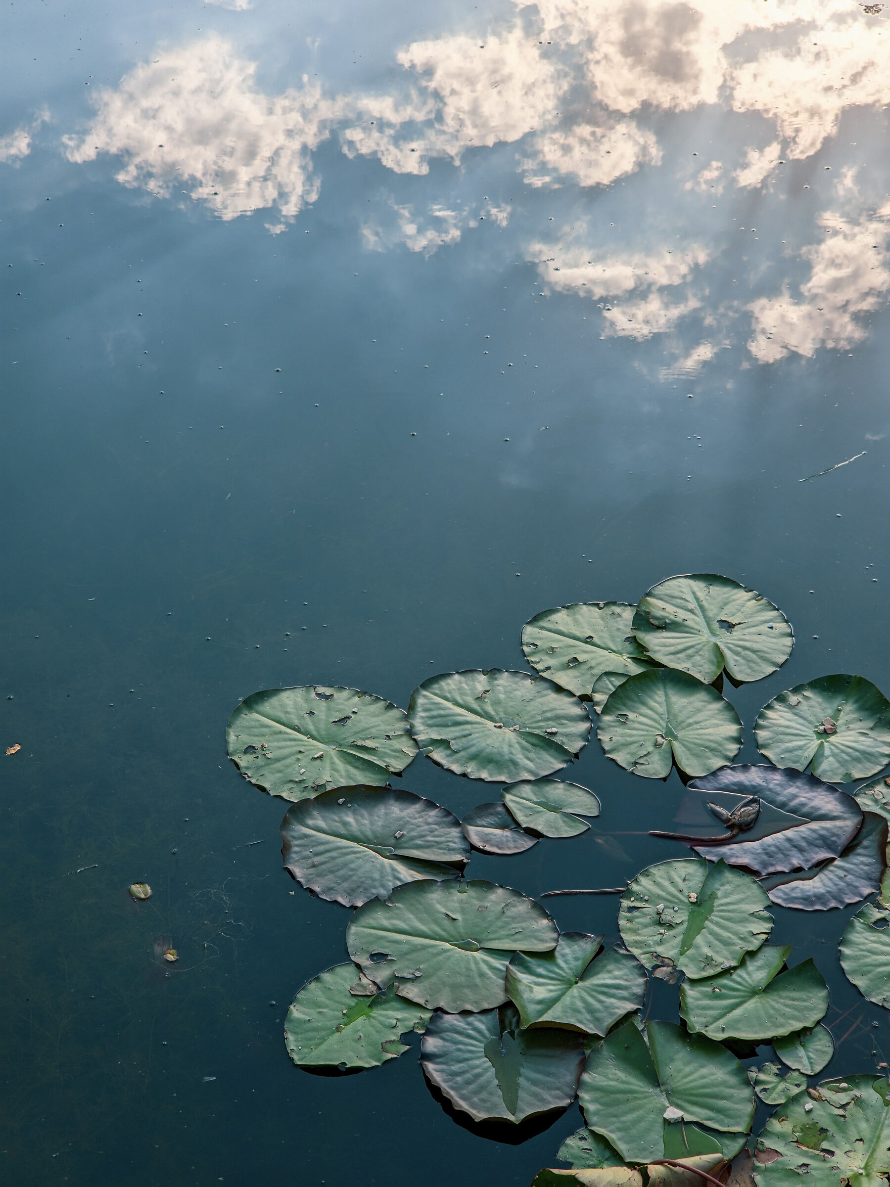 Floating