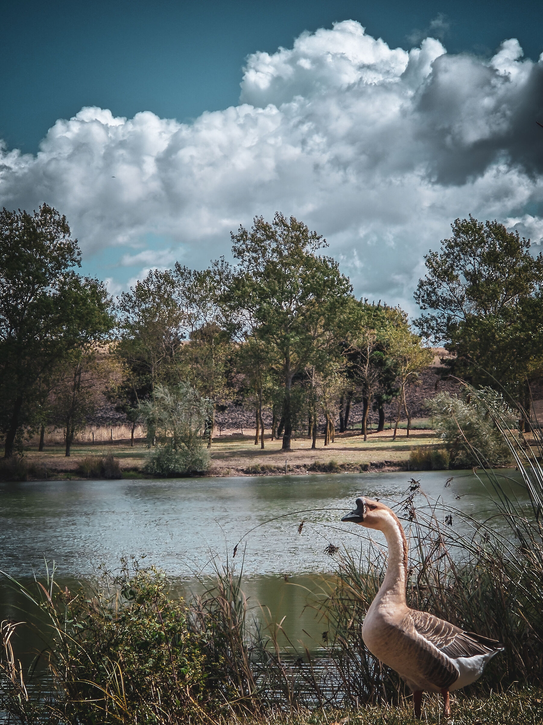 Mignatta Lake