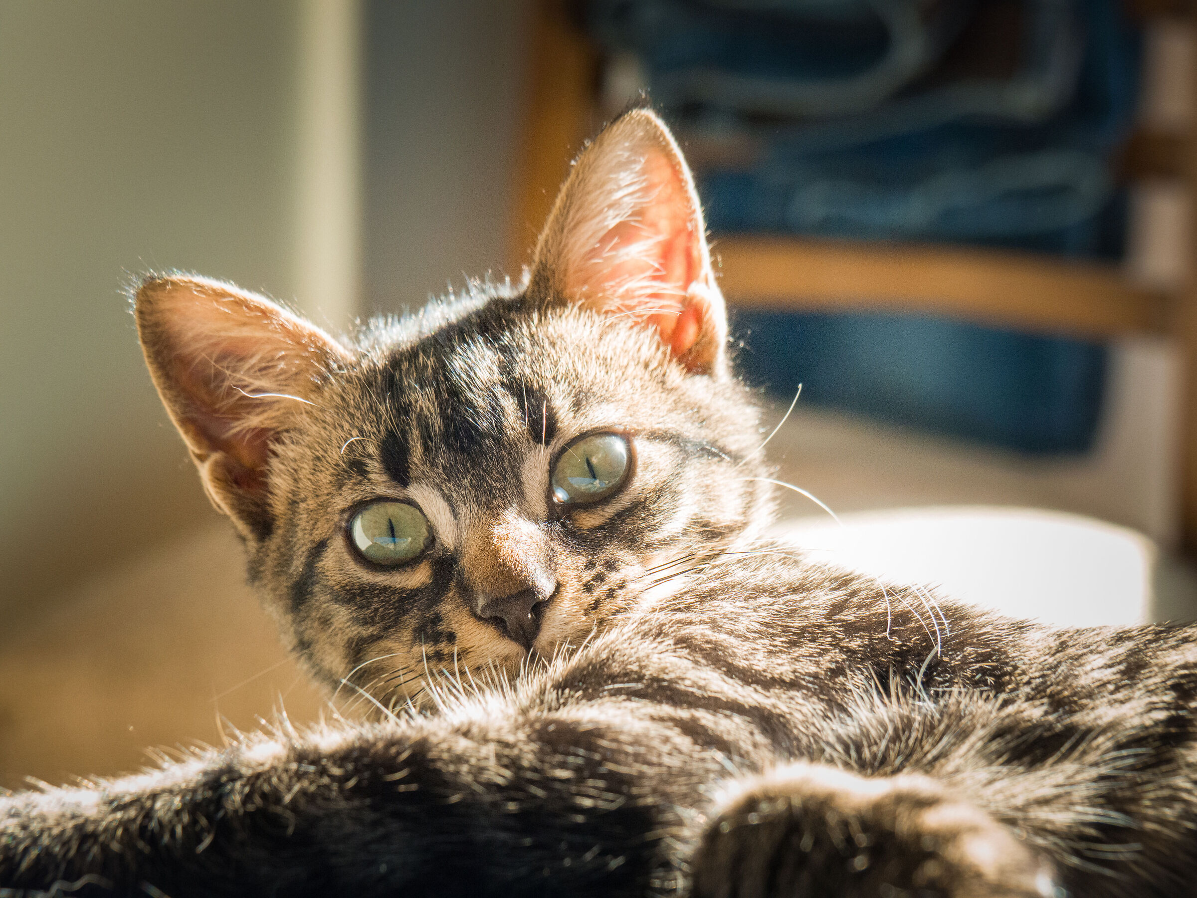 Sunbathing