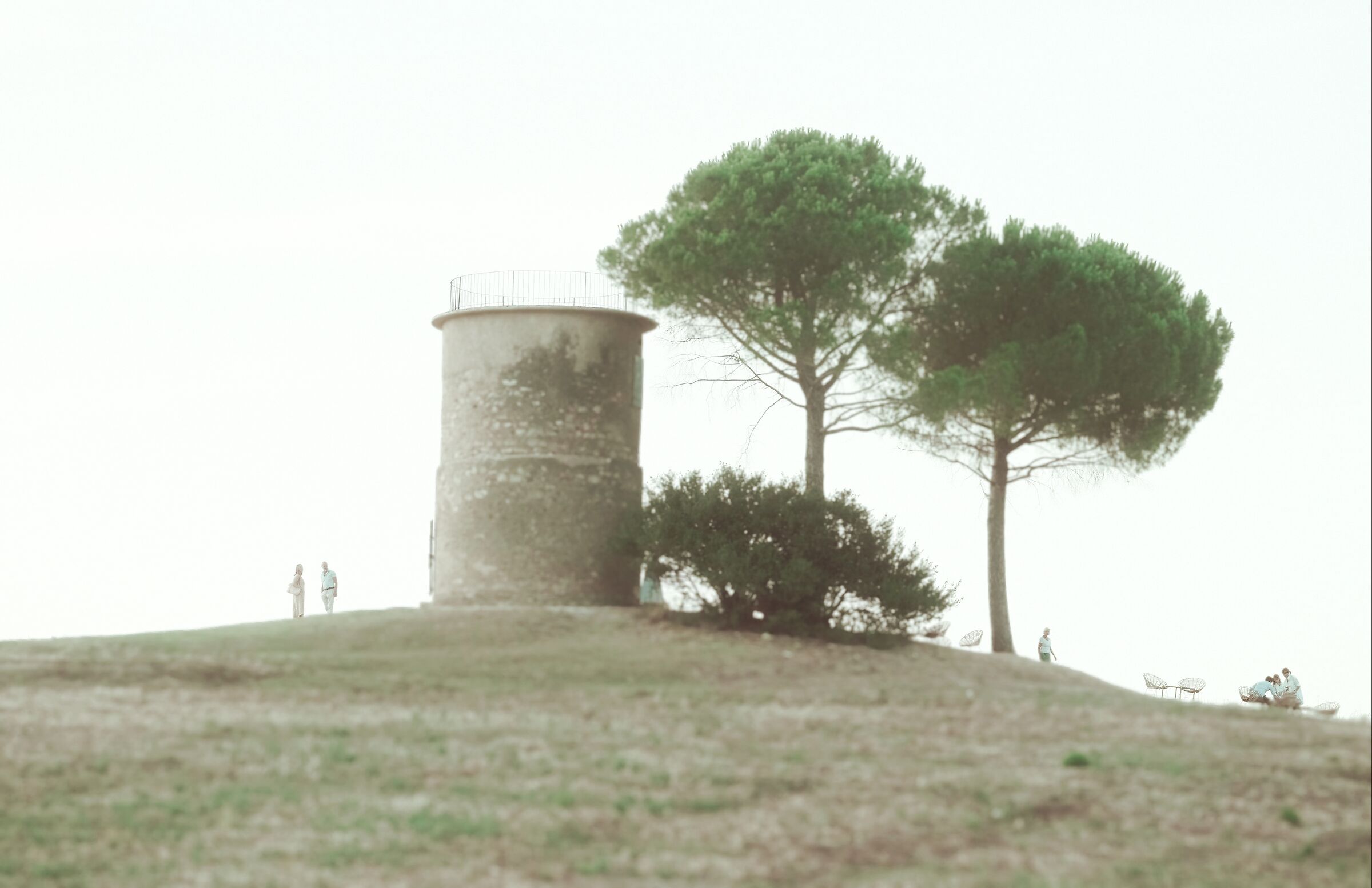 Untitled Photo