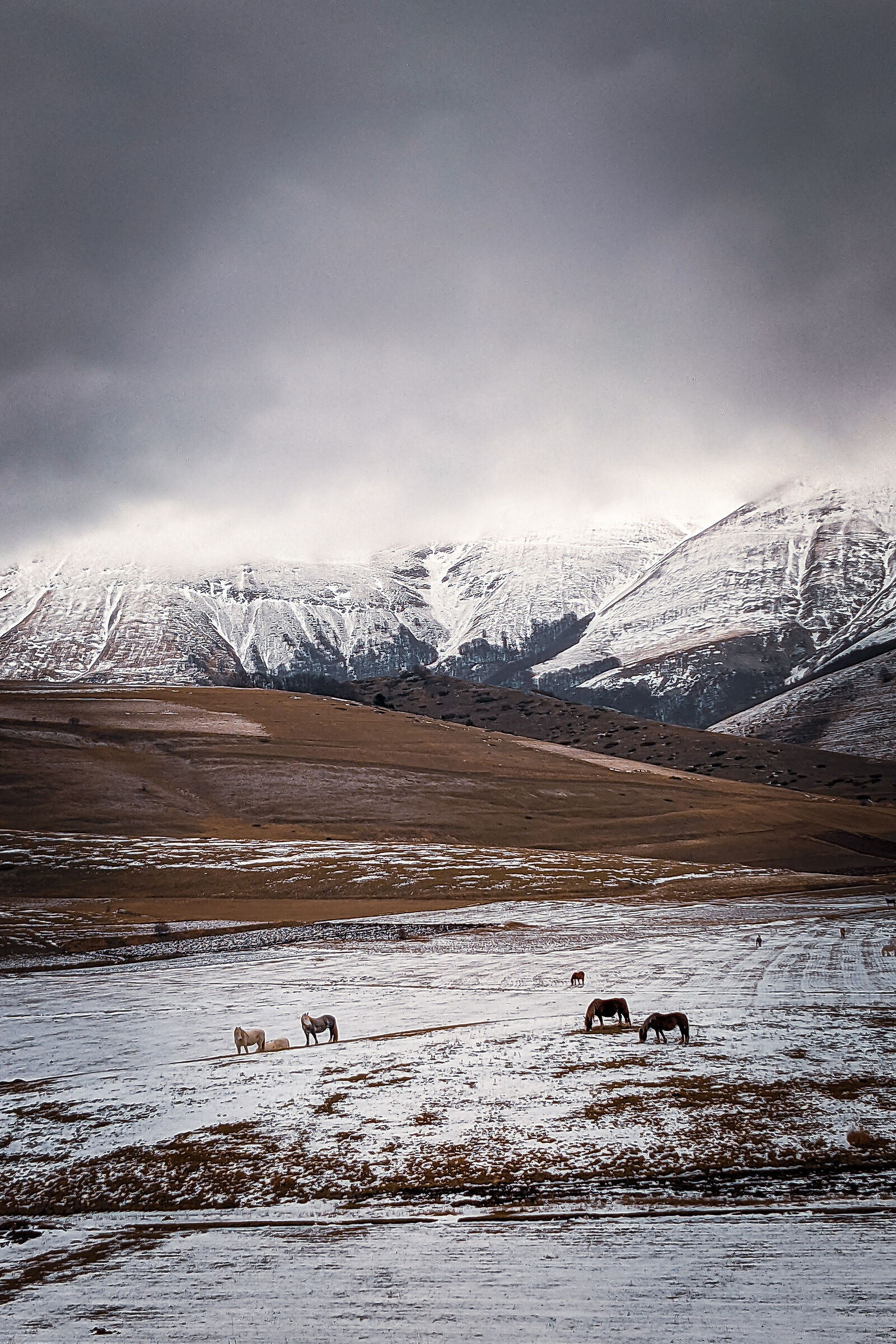 Summer is miles and miles away