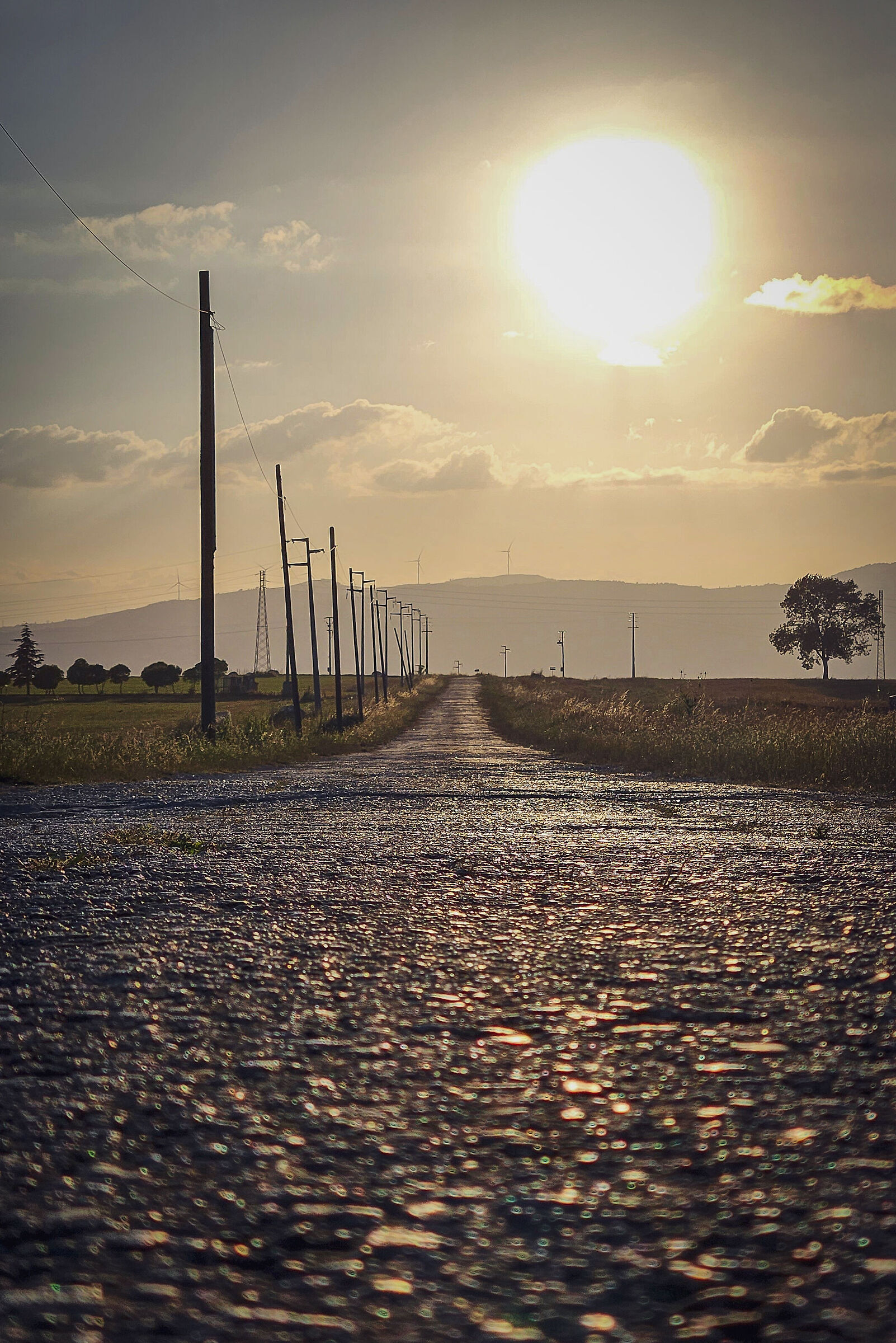A winding road taking me home
