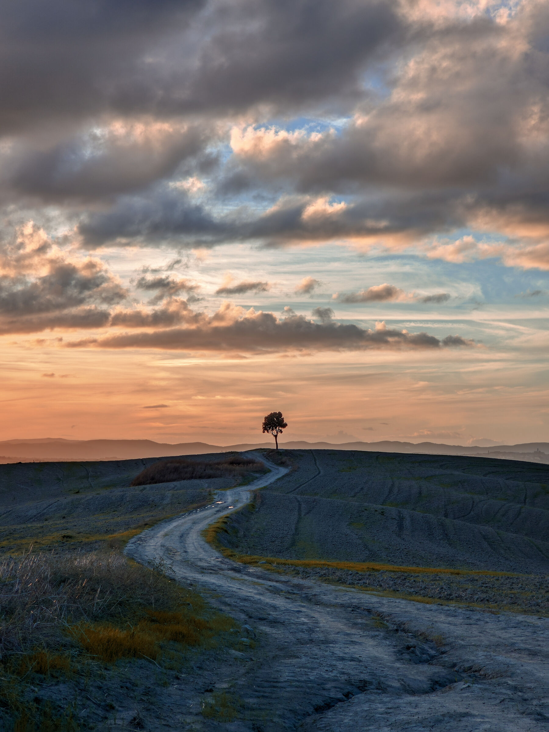 The last or the first?